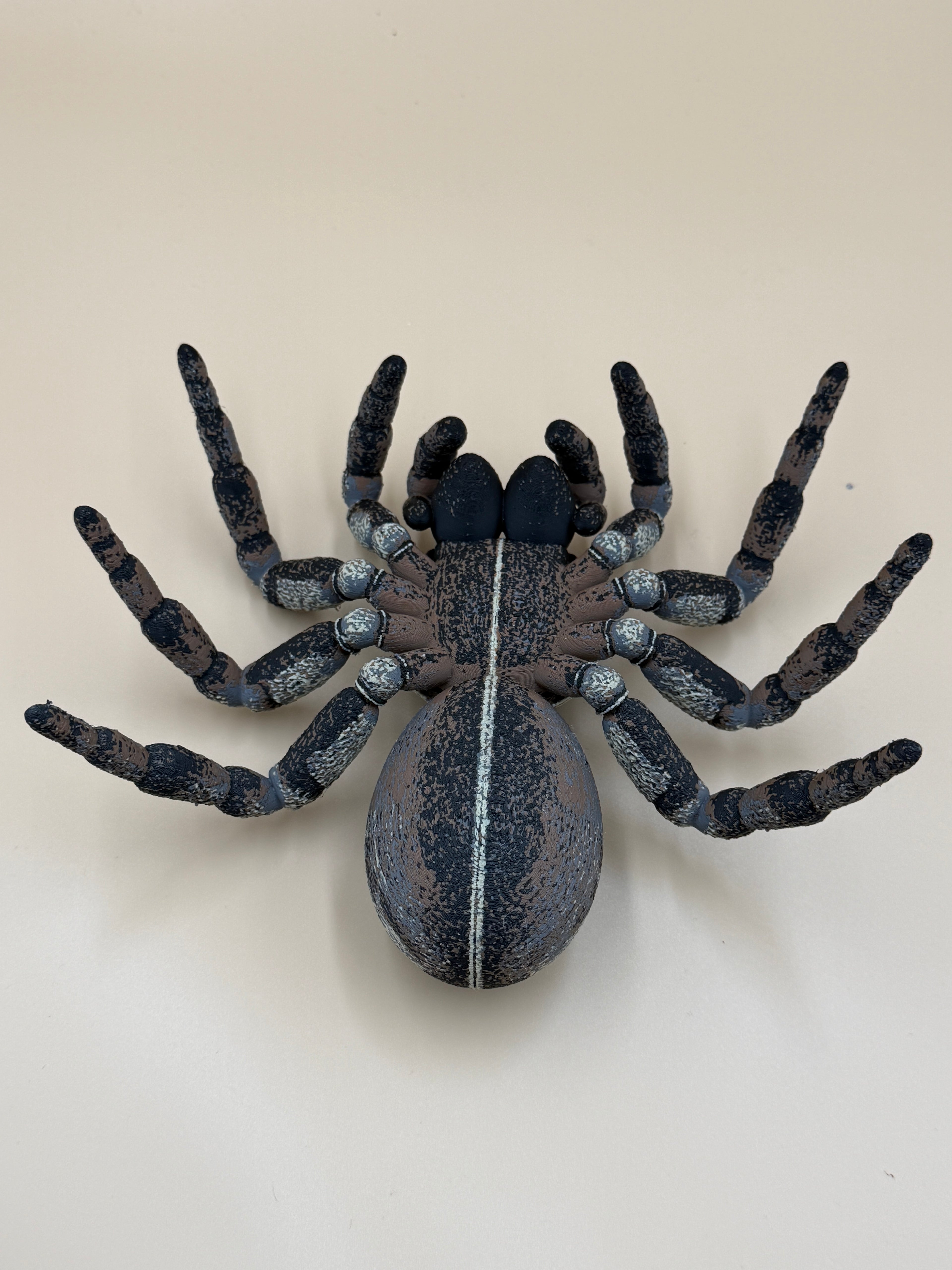 Jumping Spider