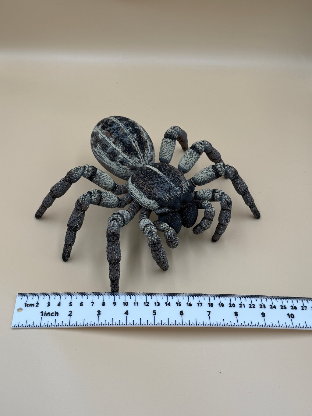 Jumping Spider