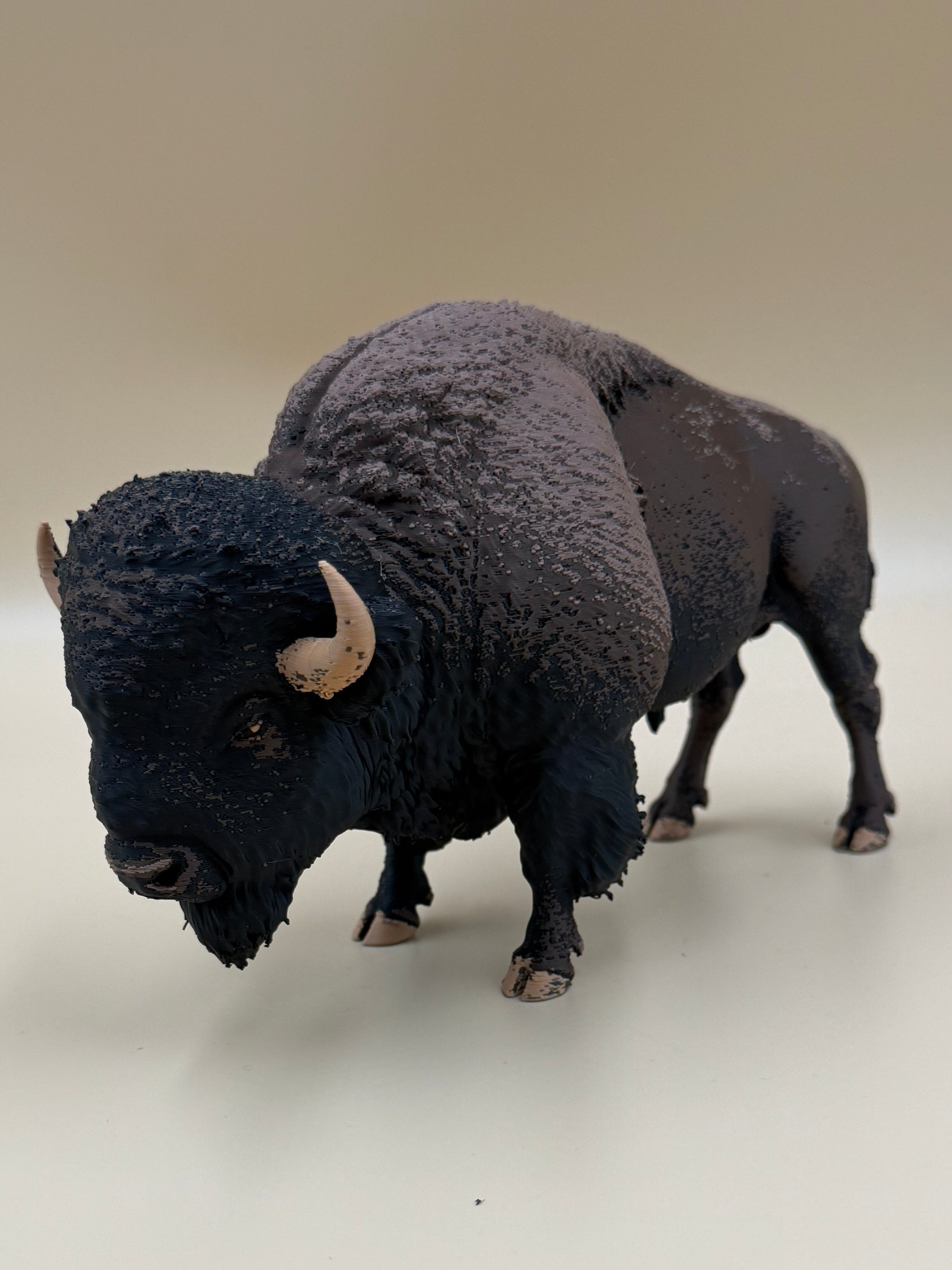 Yellowstone Bison