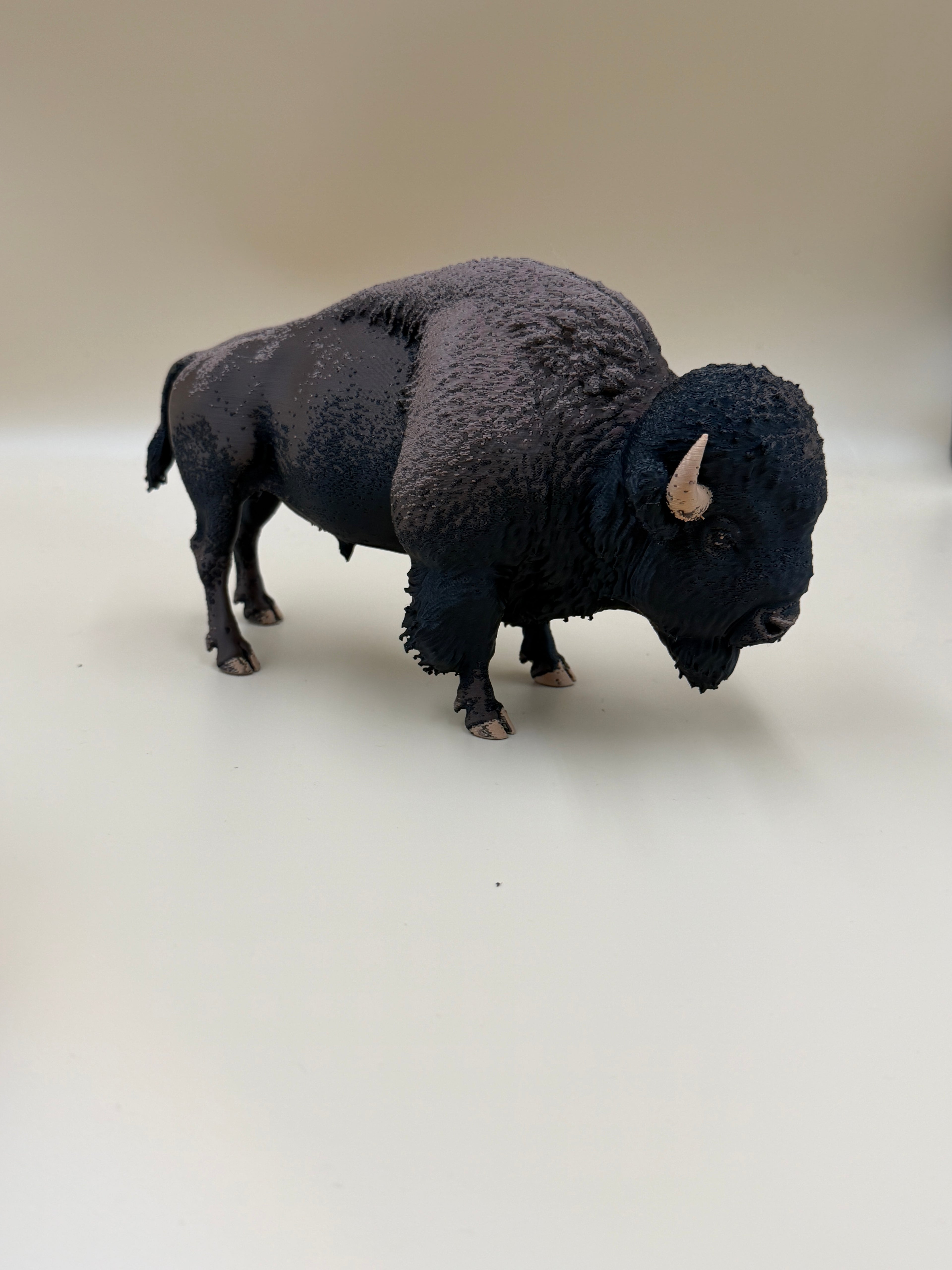 Yellowstone Bison