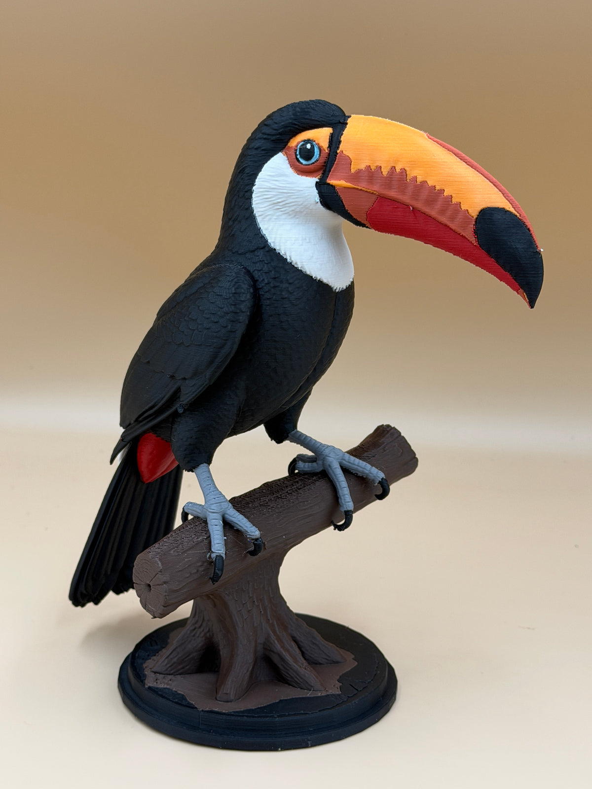 Toucan