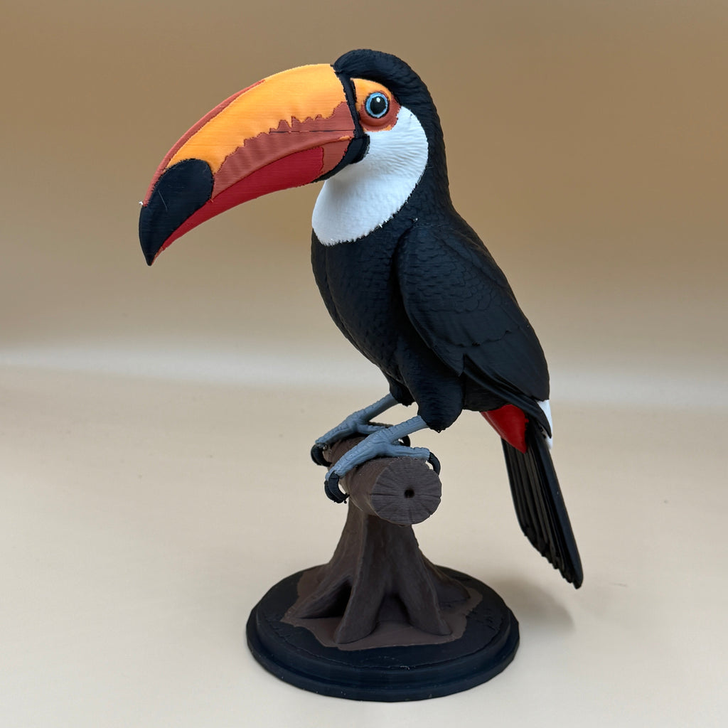 Toucan