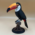 Toucan