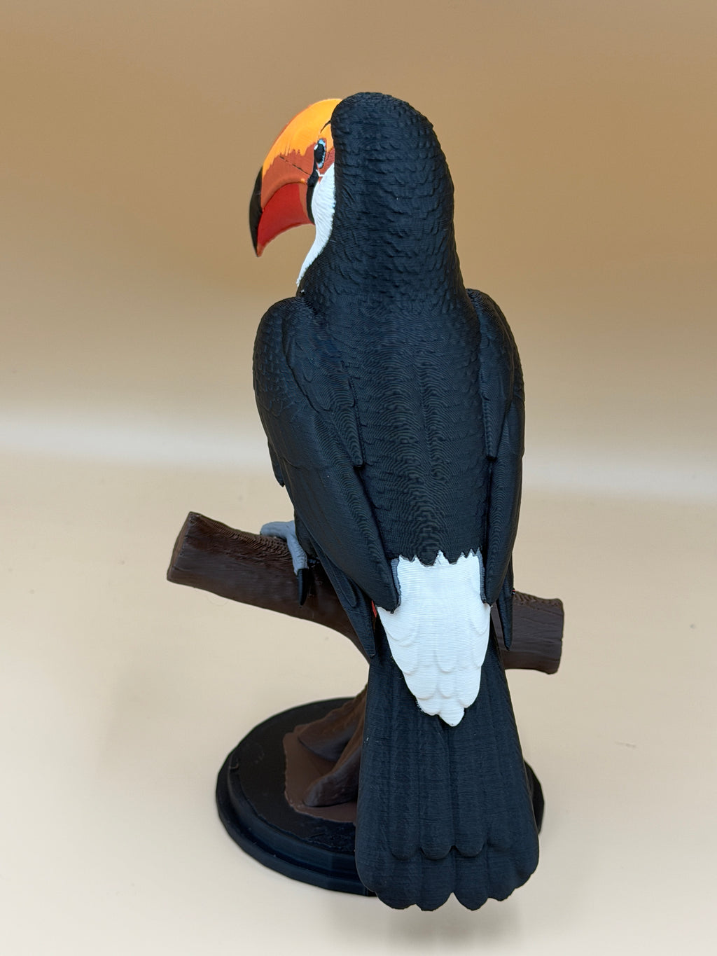 Toucan