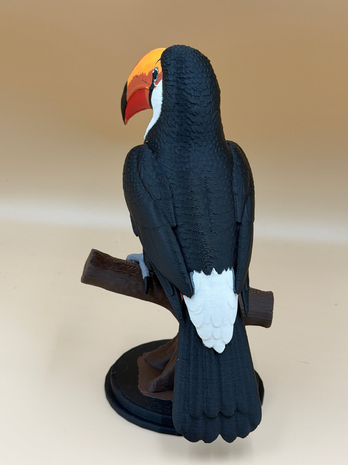 Toucan