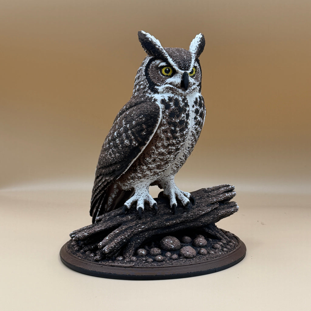 Great Horned Owl - Indoor Only
