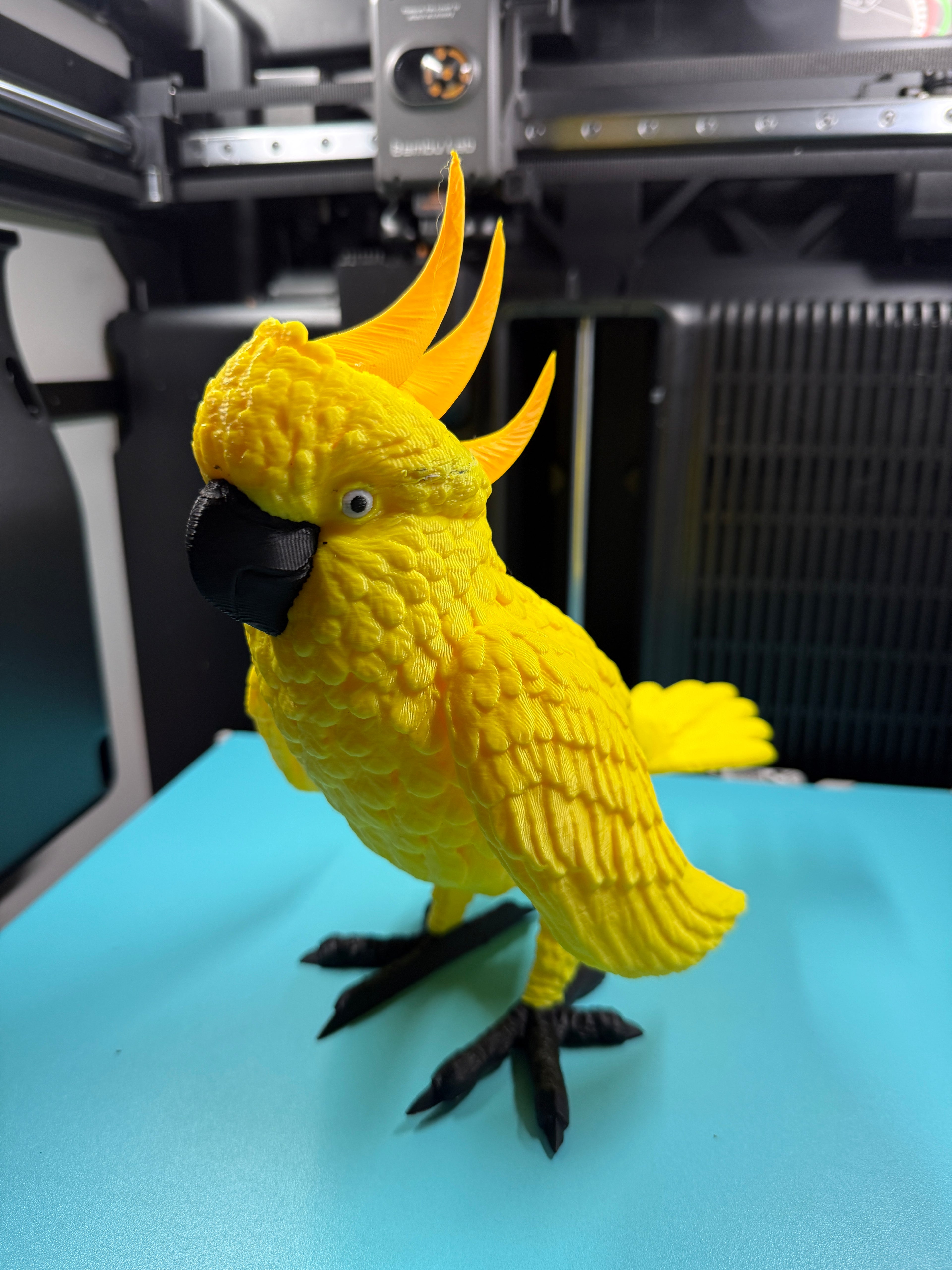 Yellow Parrot