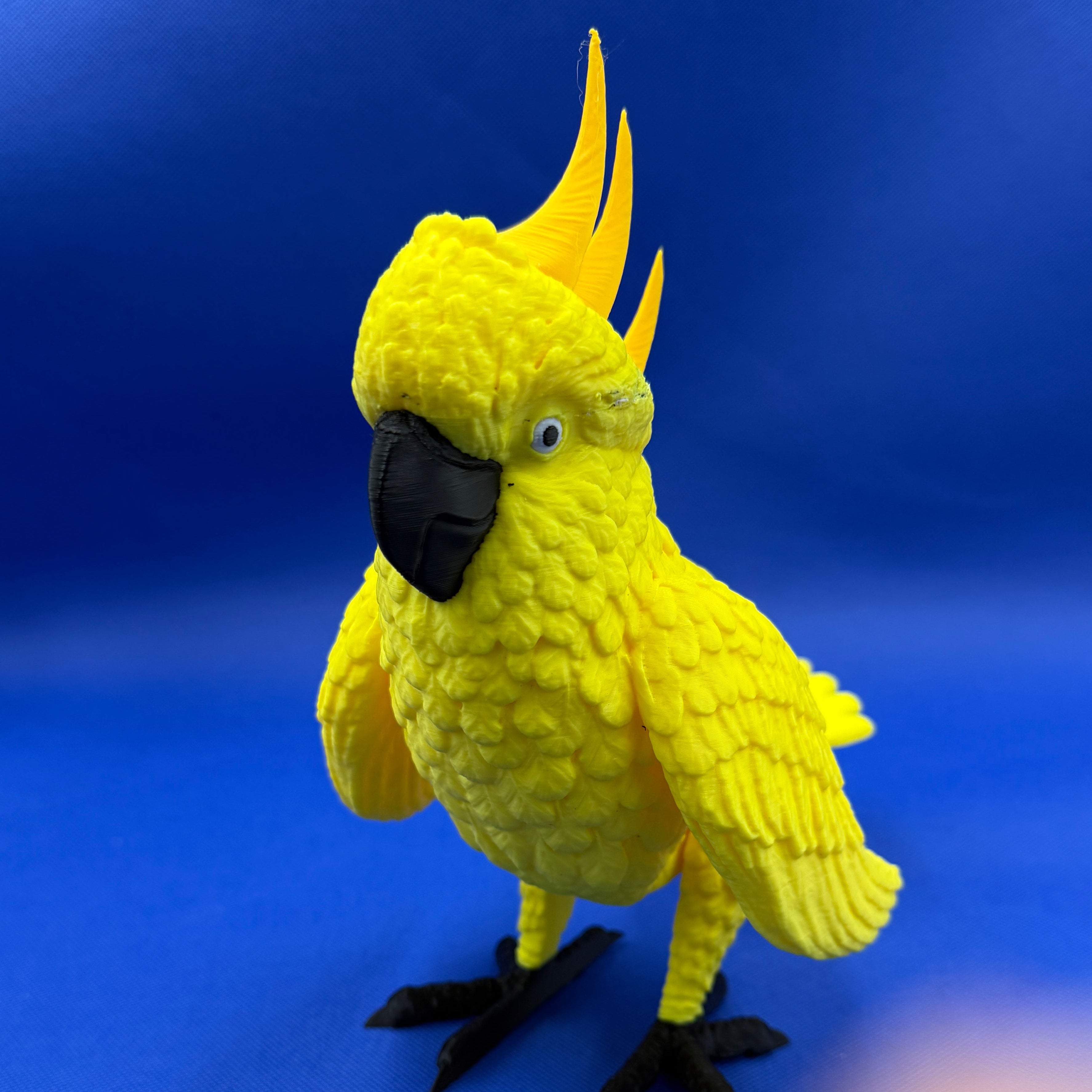 Yellow Parrot