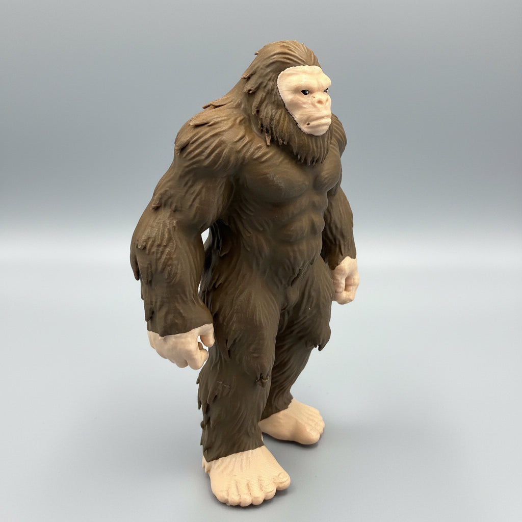 Sasquatch Bigfoot