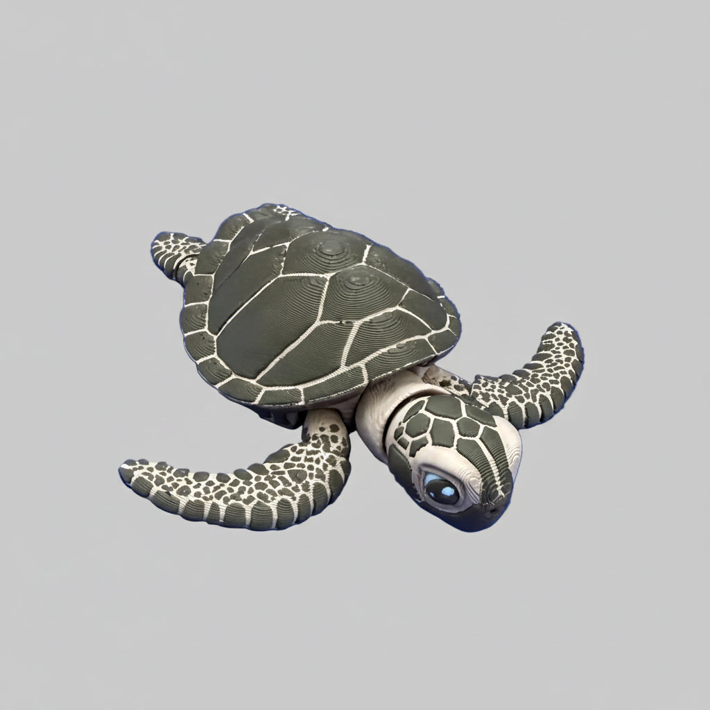 Sea Turtle