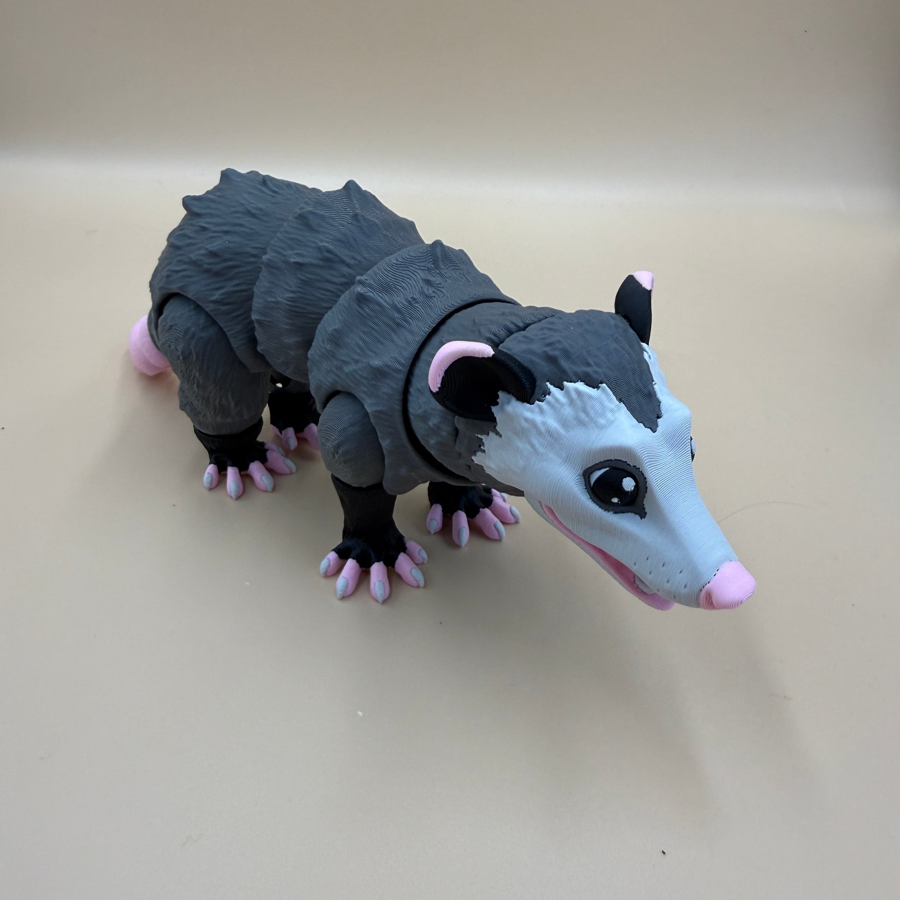 Opossum