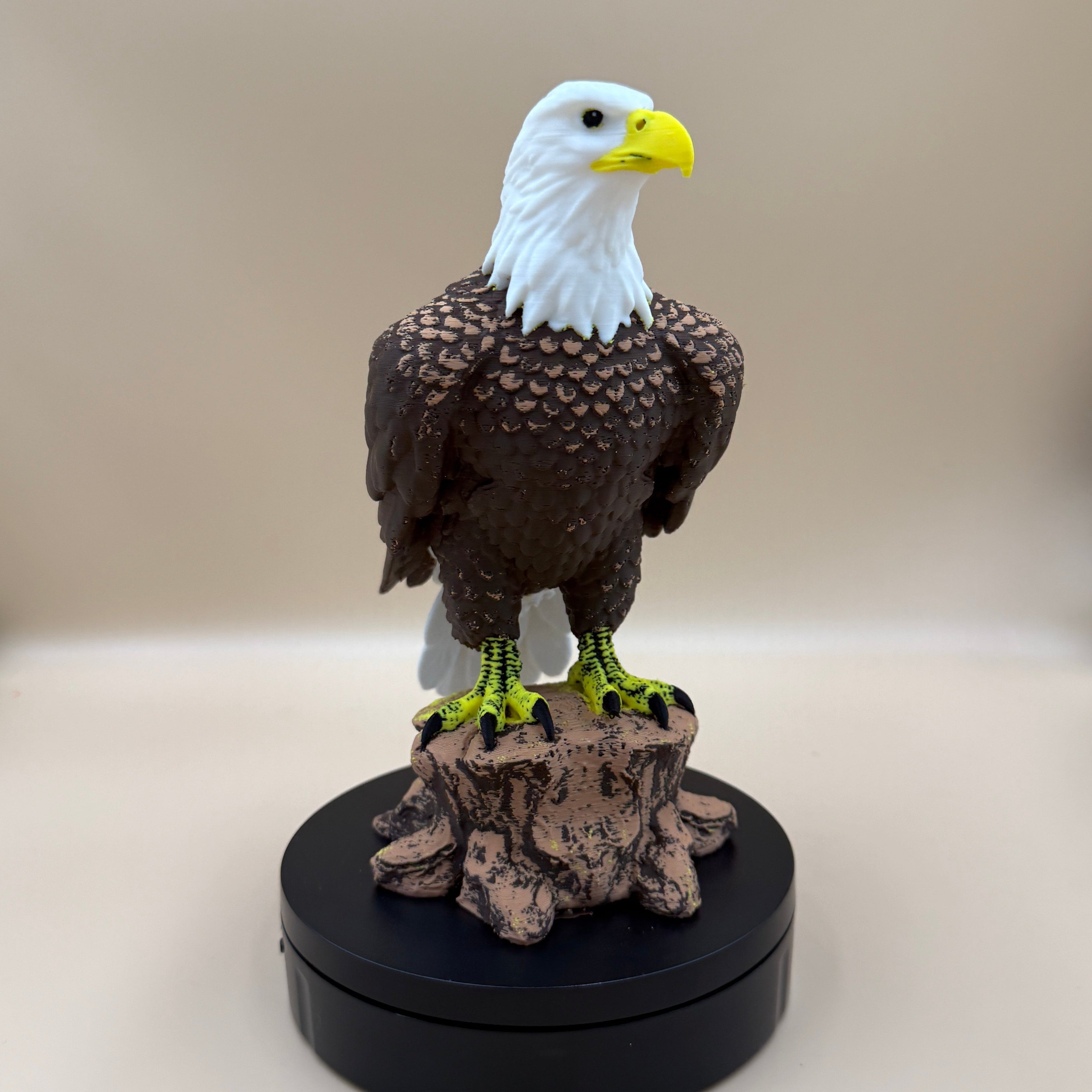 Majestic Bald Eagle - Commercial License