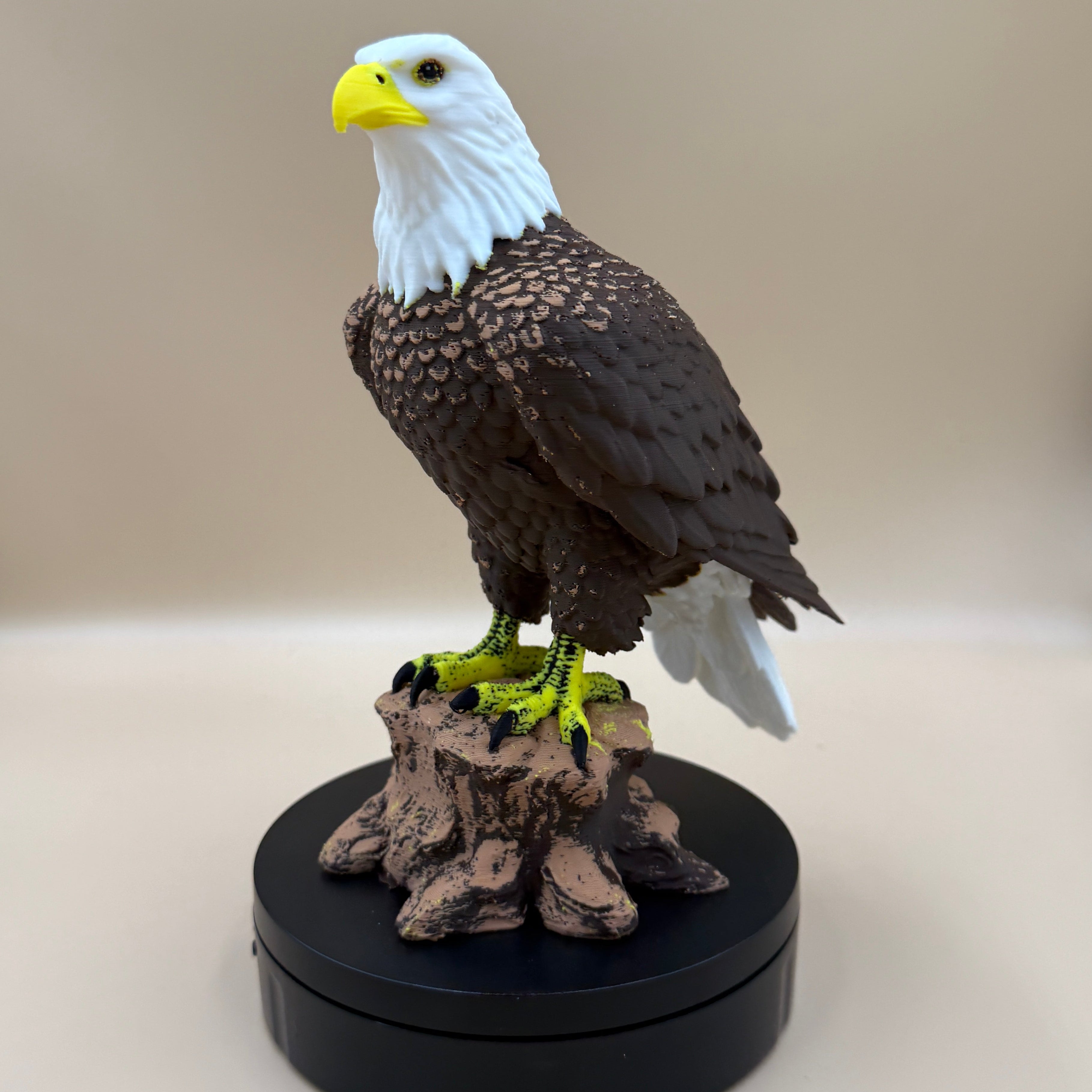 Majestic Bald Eagle - Commercial License