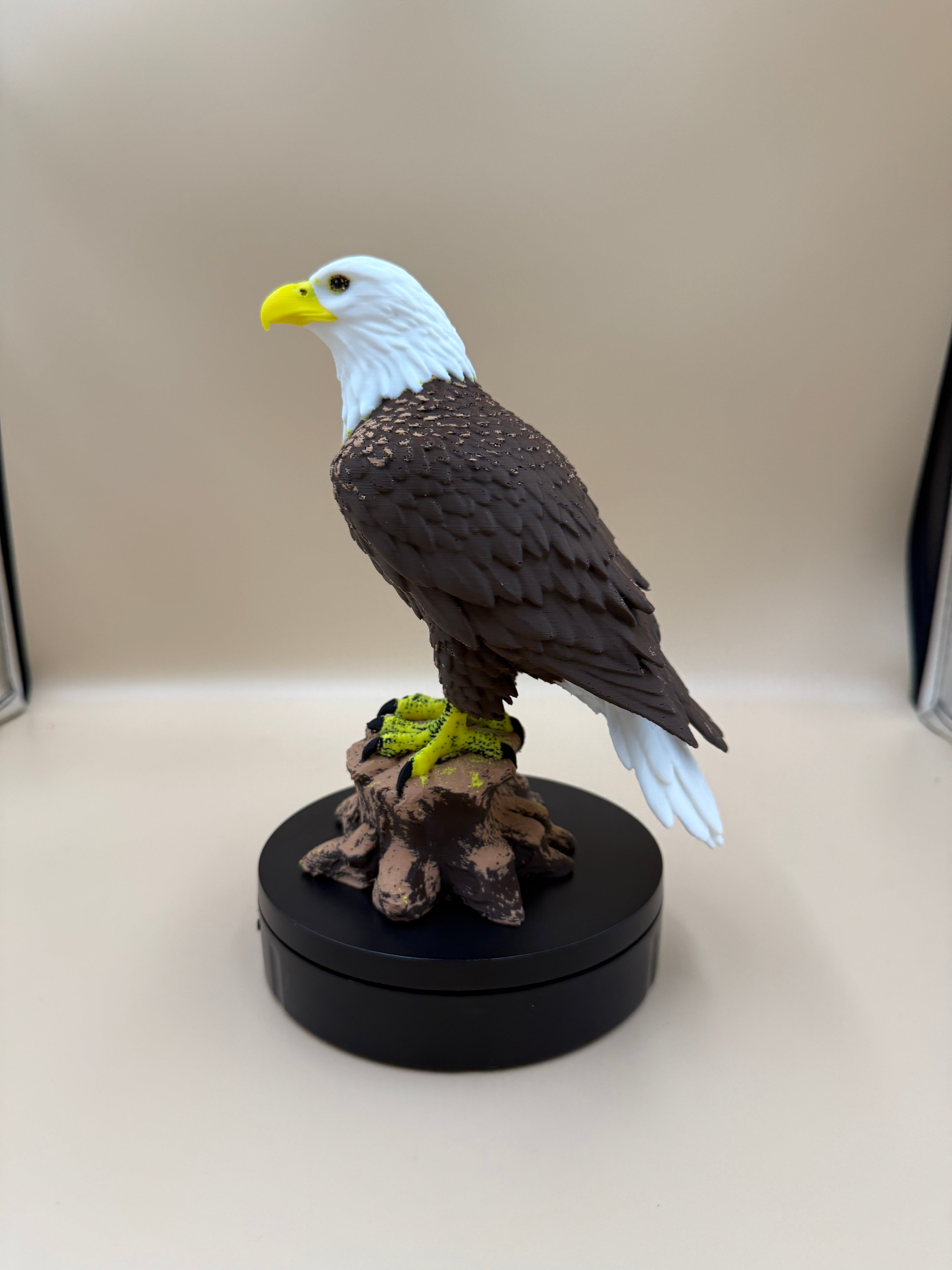 Bald Eagle