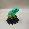 Toad on a Stump