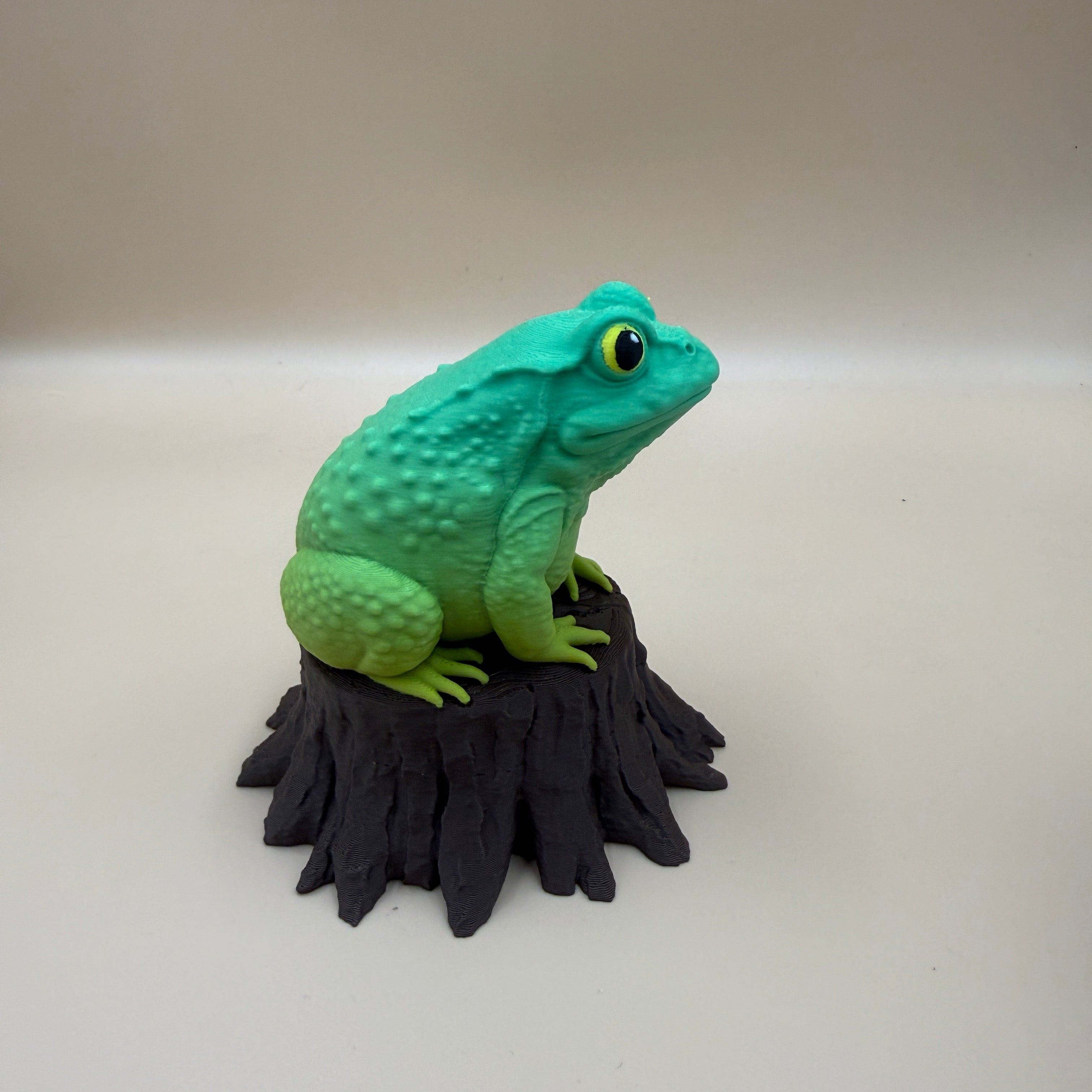 Toad on a Stump