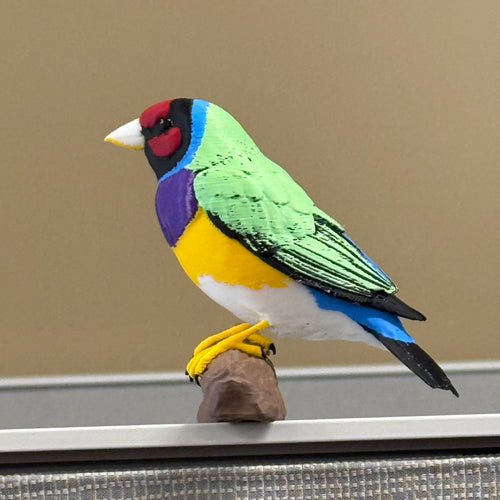 Gouldian Finch