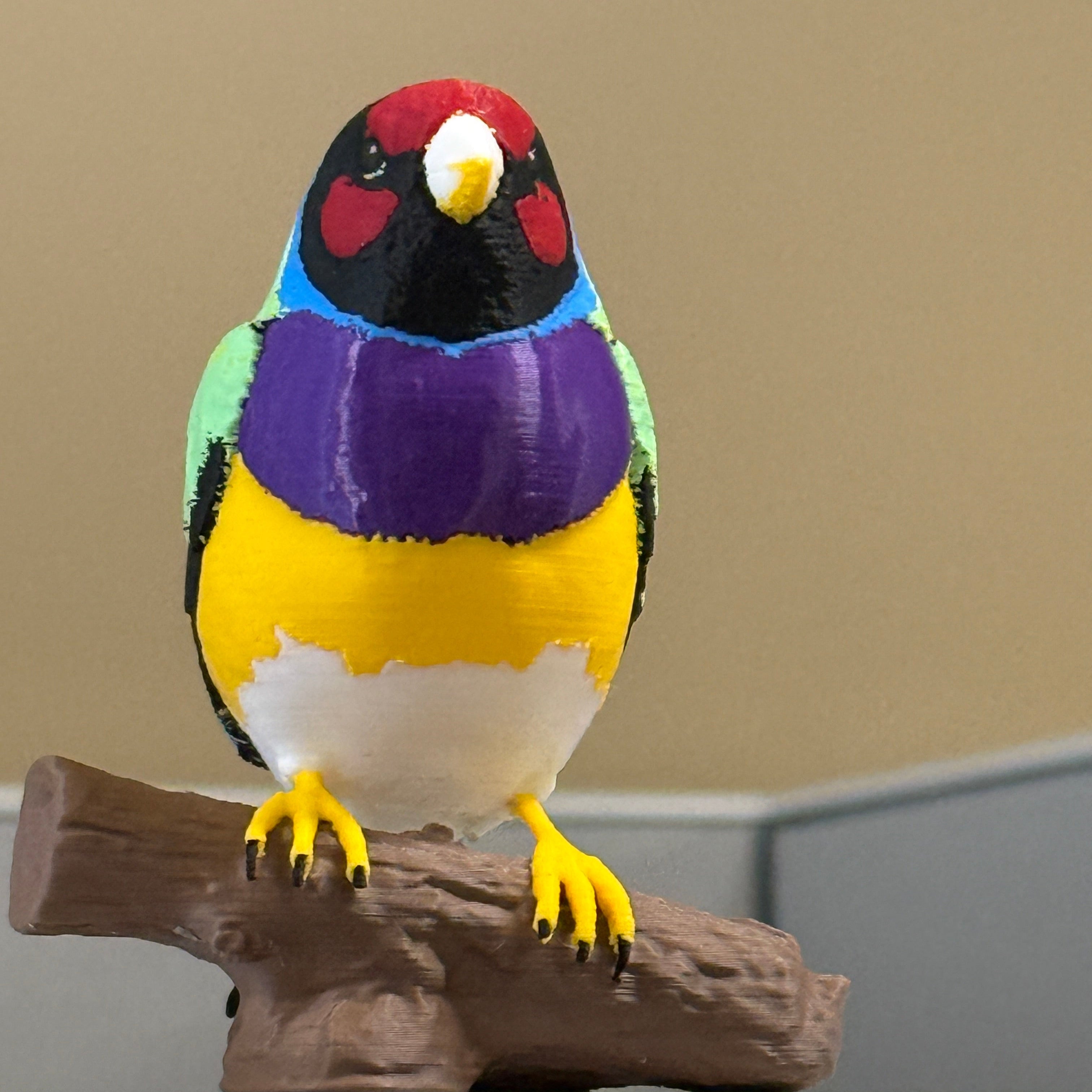 Gouldian Finch- Commercial License