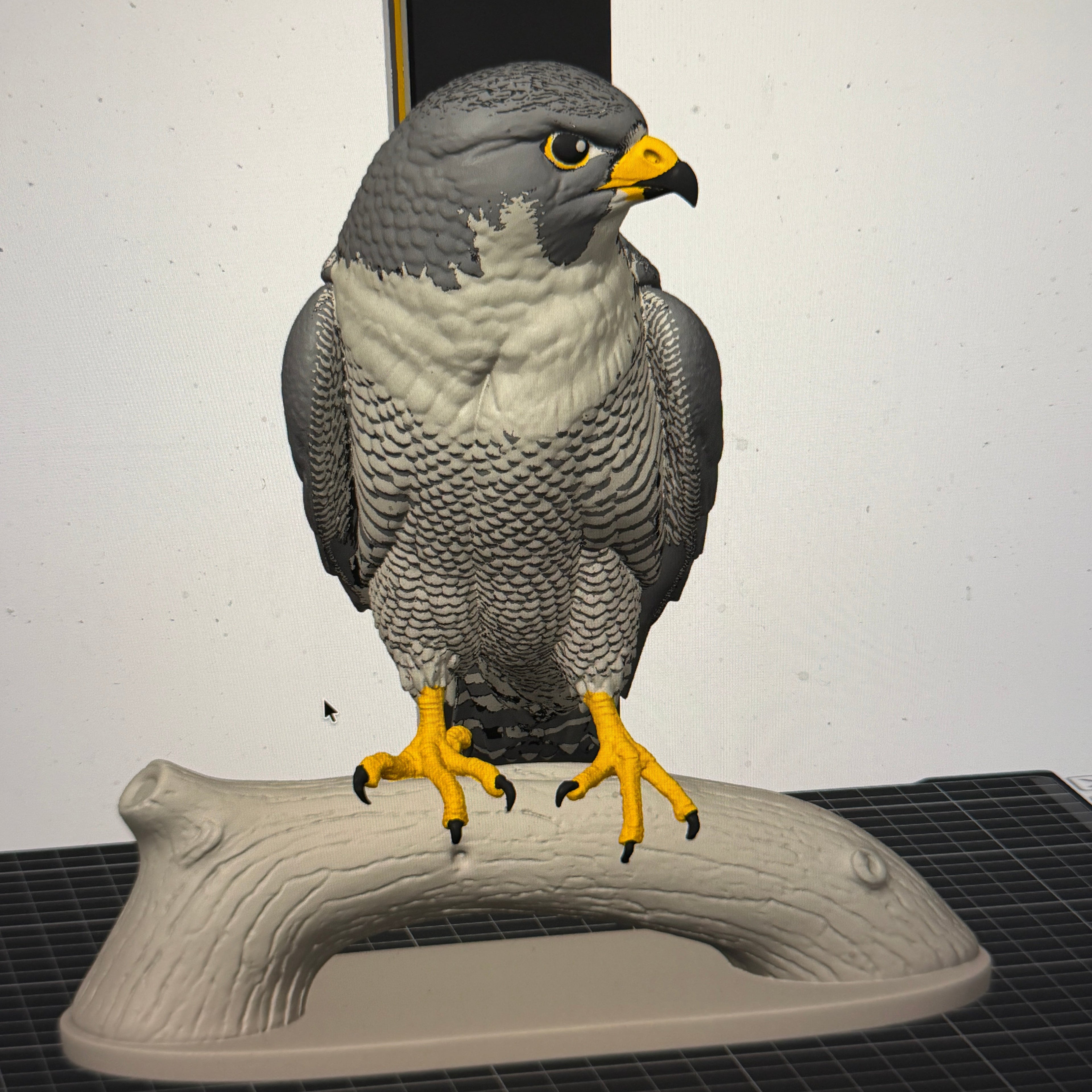 Peregrine Falcon - Commercial License