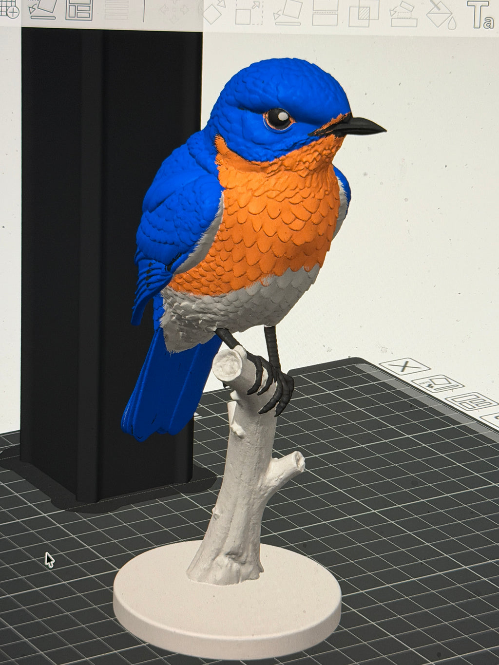 Mountain Bluebird on a Branch - Commercial License