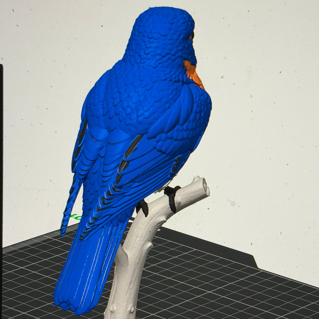 Mountain Bluebird on a Branch - Commercial License
