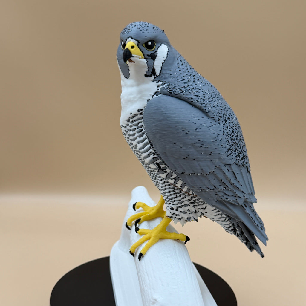 Skyhunter Peregrine Falcon - PLA version - Indoor Only