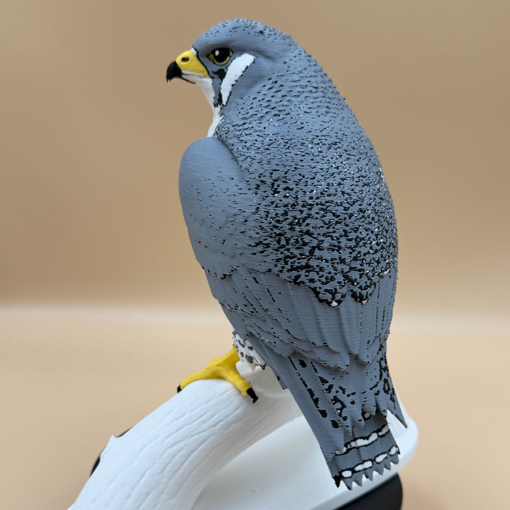 Skyhunter Peregrine Falcon - PLA version - Indoor Only