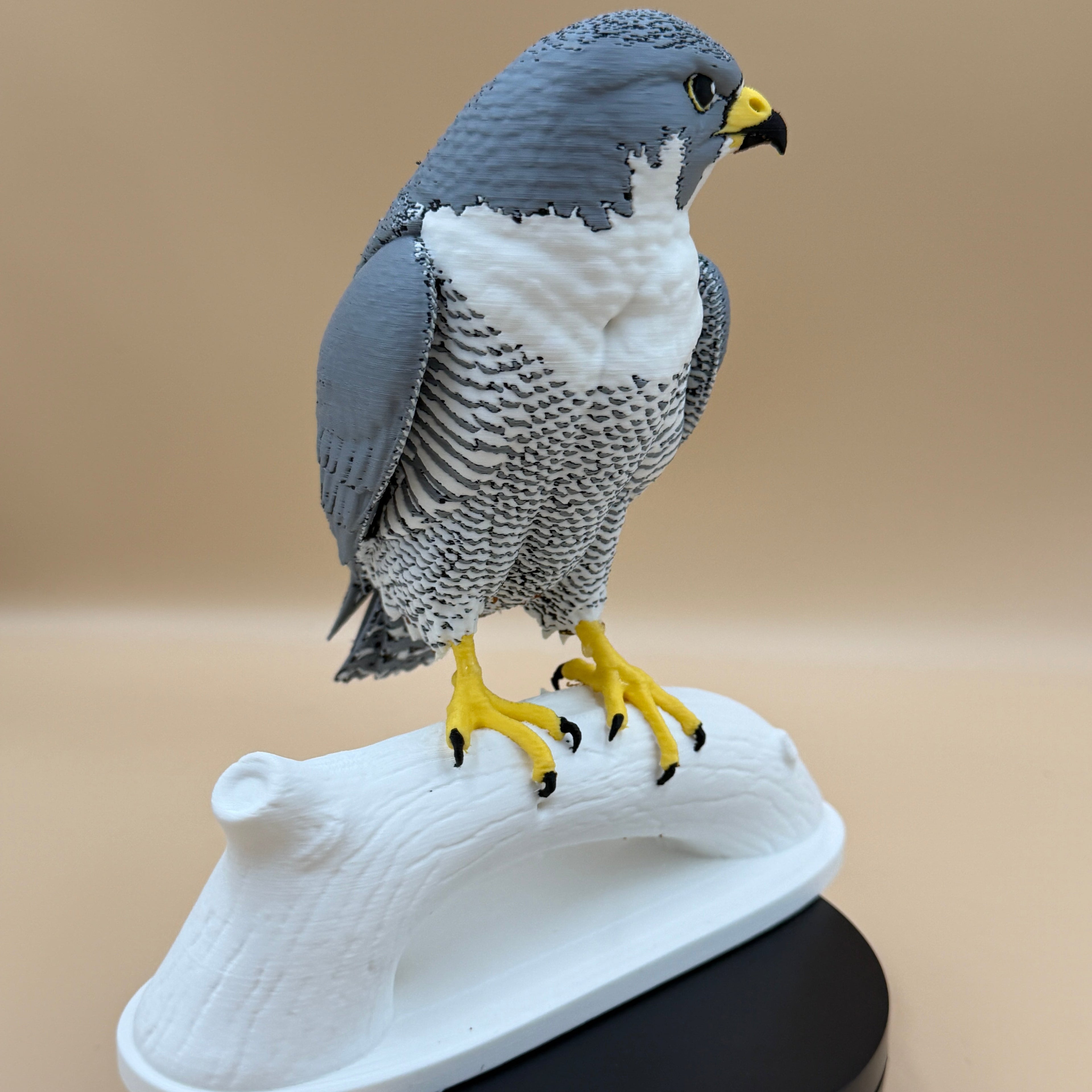 Skyhunter Peregrine Falcon - PLA version - Indoor Only
