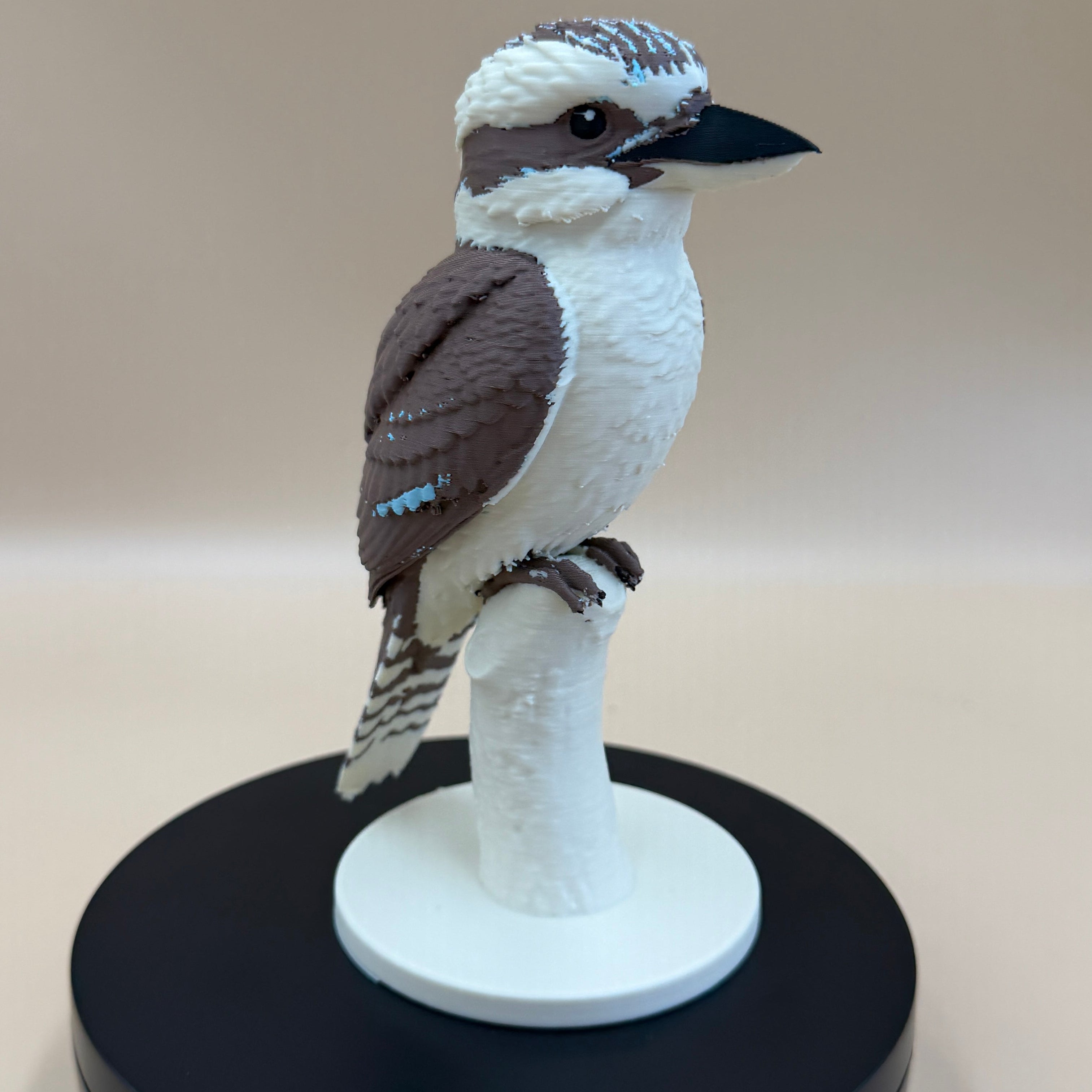 Wild Laugh Kookaburra - Commercial License