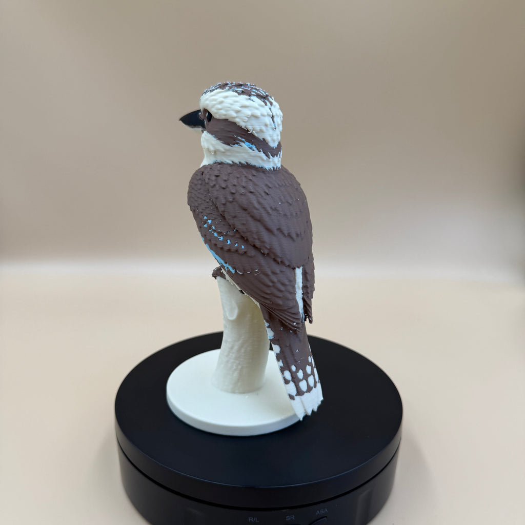 Wild Laugh Kookaburra - Commercial License