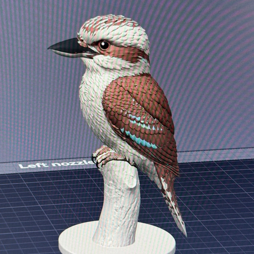 Wild Laugh Kookaburra - Commercial License