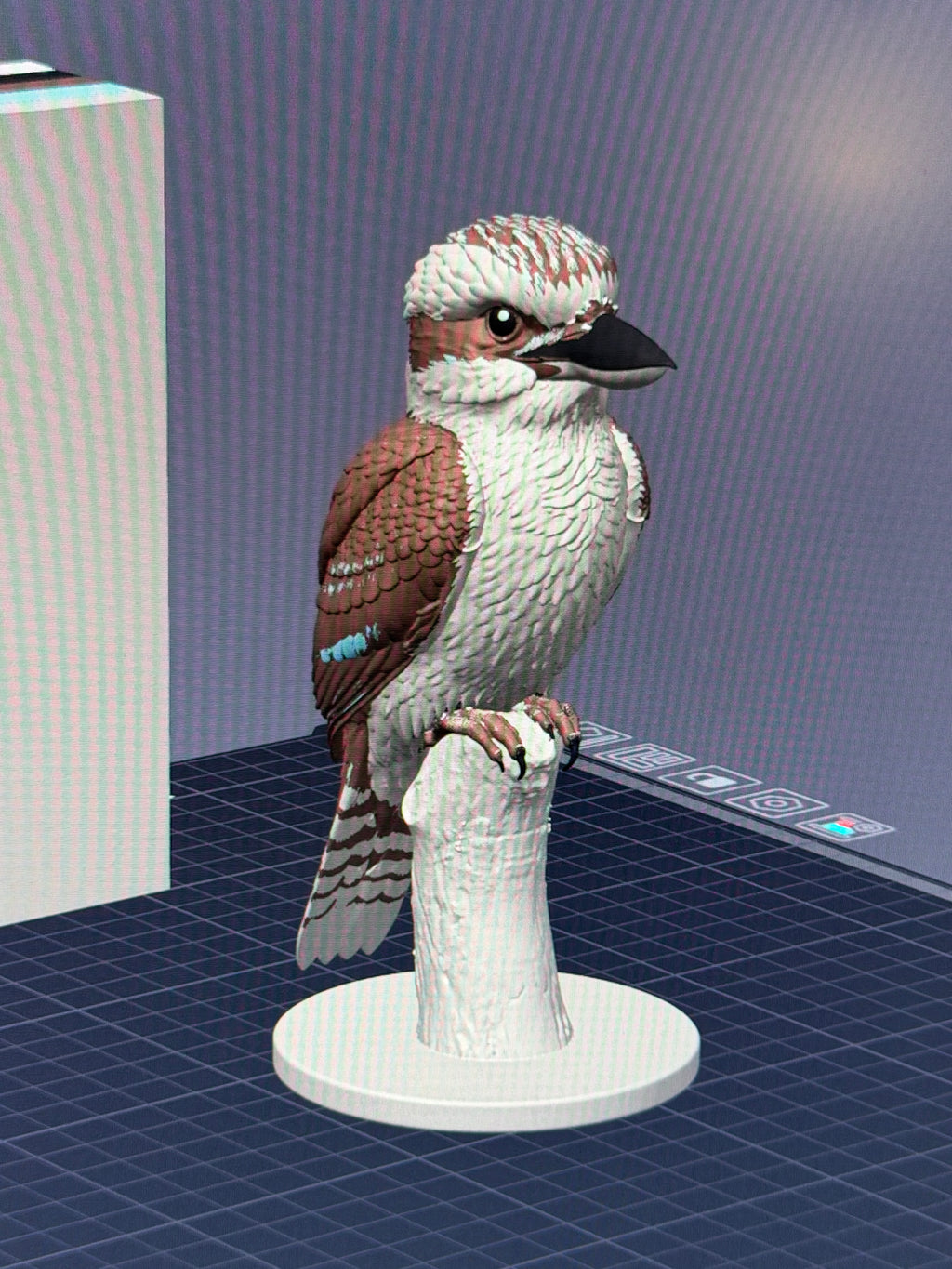 Wild Laugh Kookaburra - Commercial License