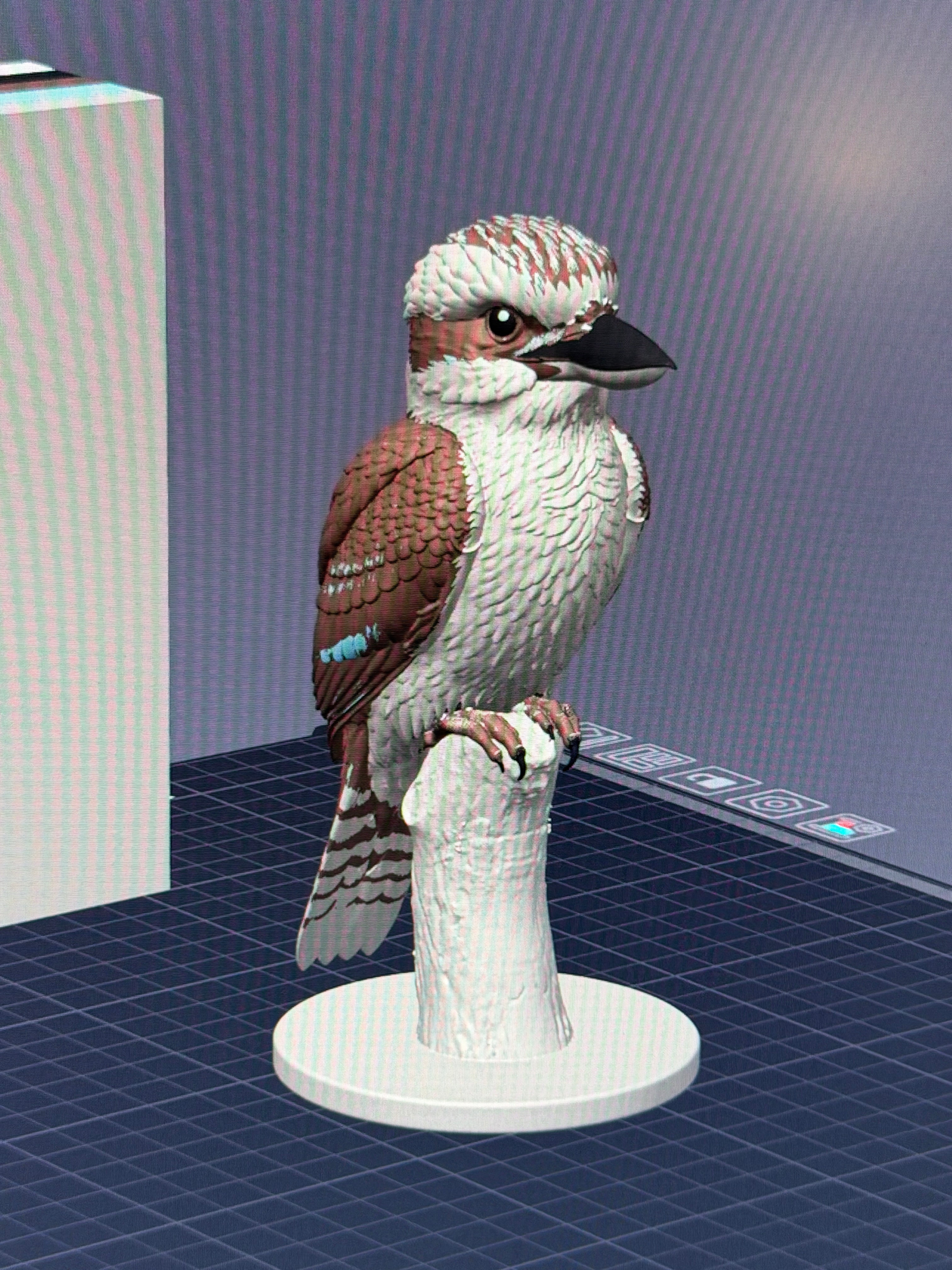 Wild Laugh Kookaburra - Commercial License