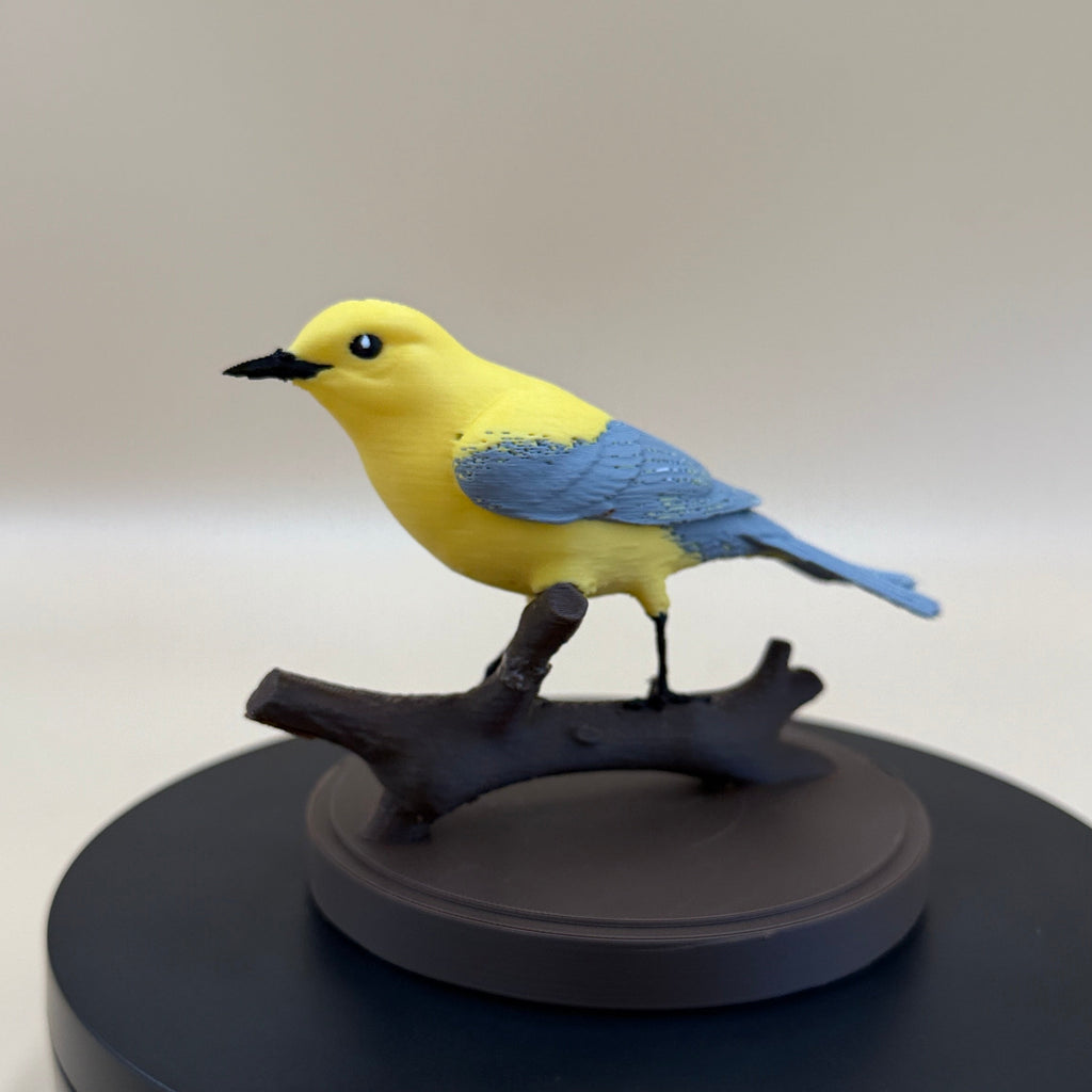Sunlit Golden Warbler