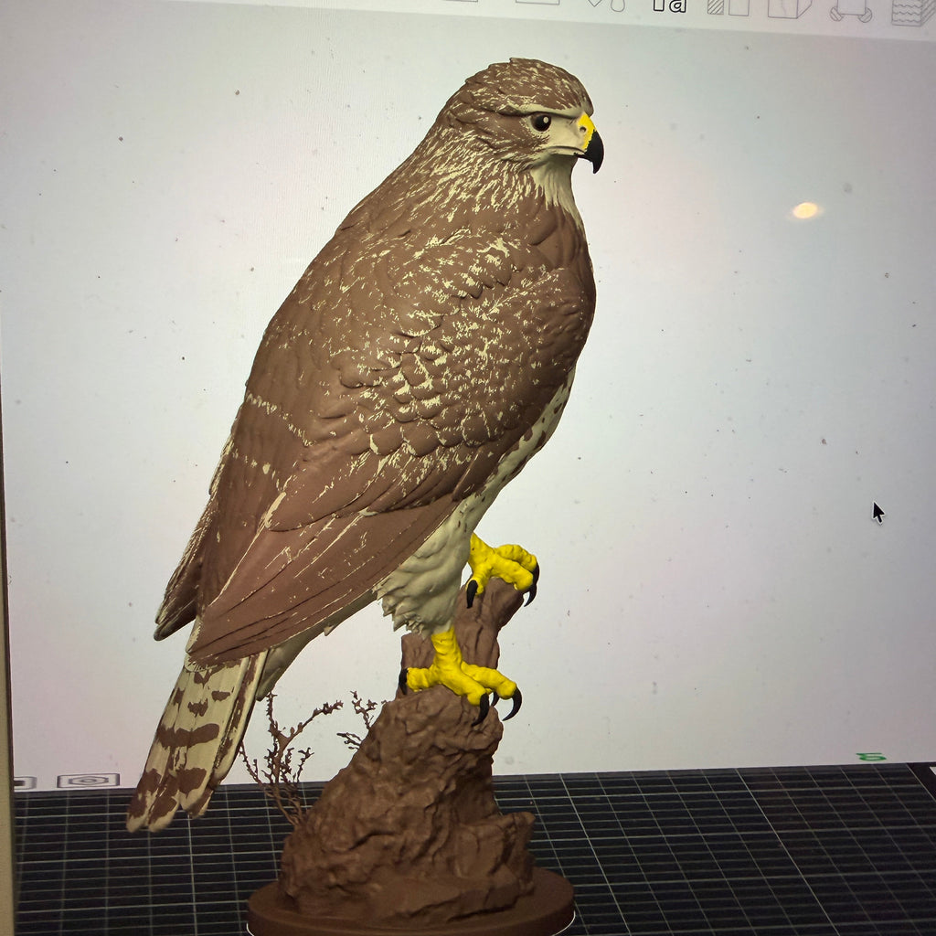 The Perchmaster Hawk - Commercial License