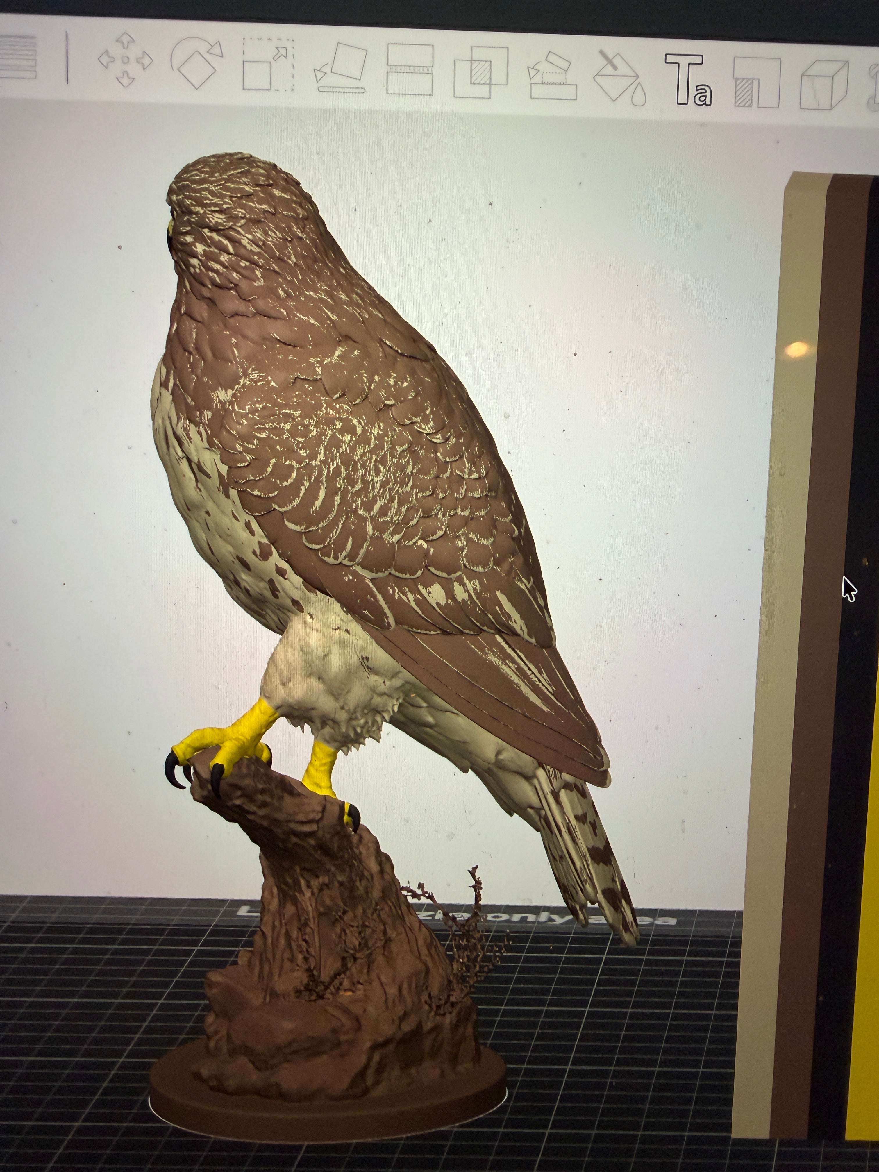 The Perchmaster Hawk - Commercial License