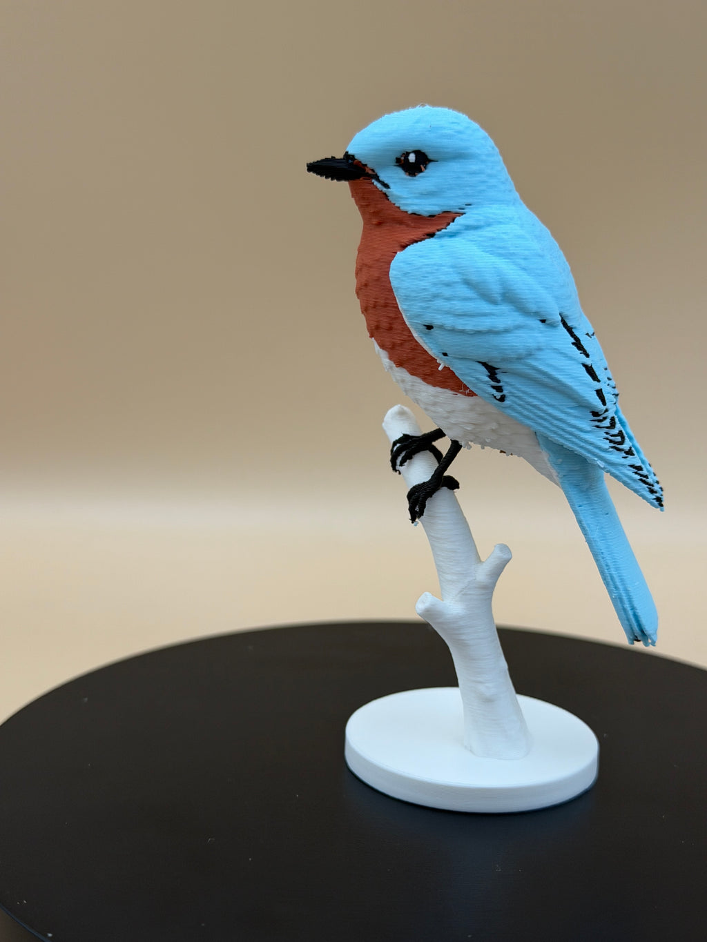 Easter Bluebird - Commercial License