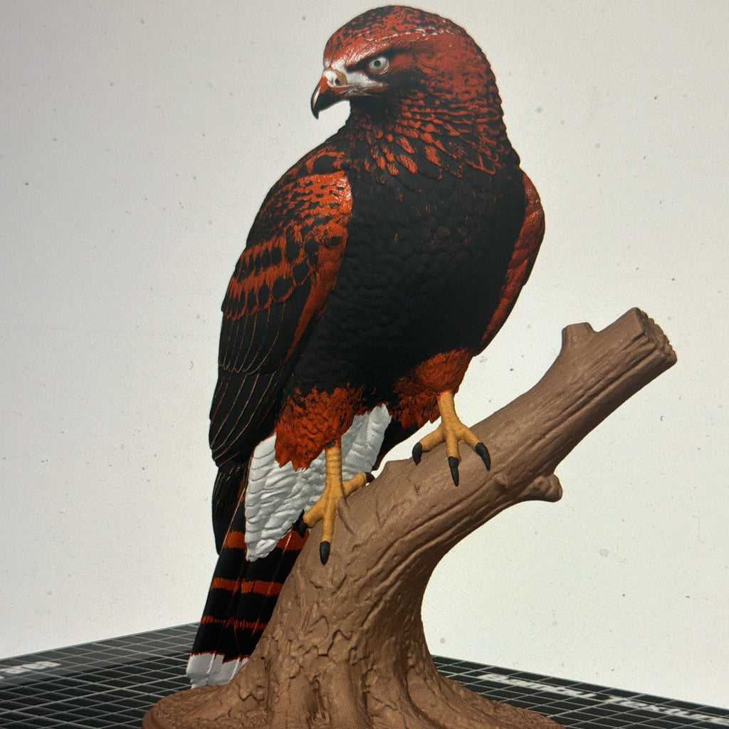 Ember Talon Harris Hawk - Commercial License
