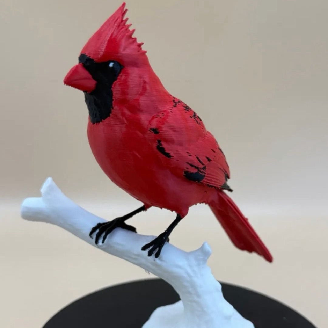 Male Crimson Crest Cardinal