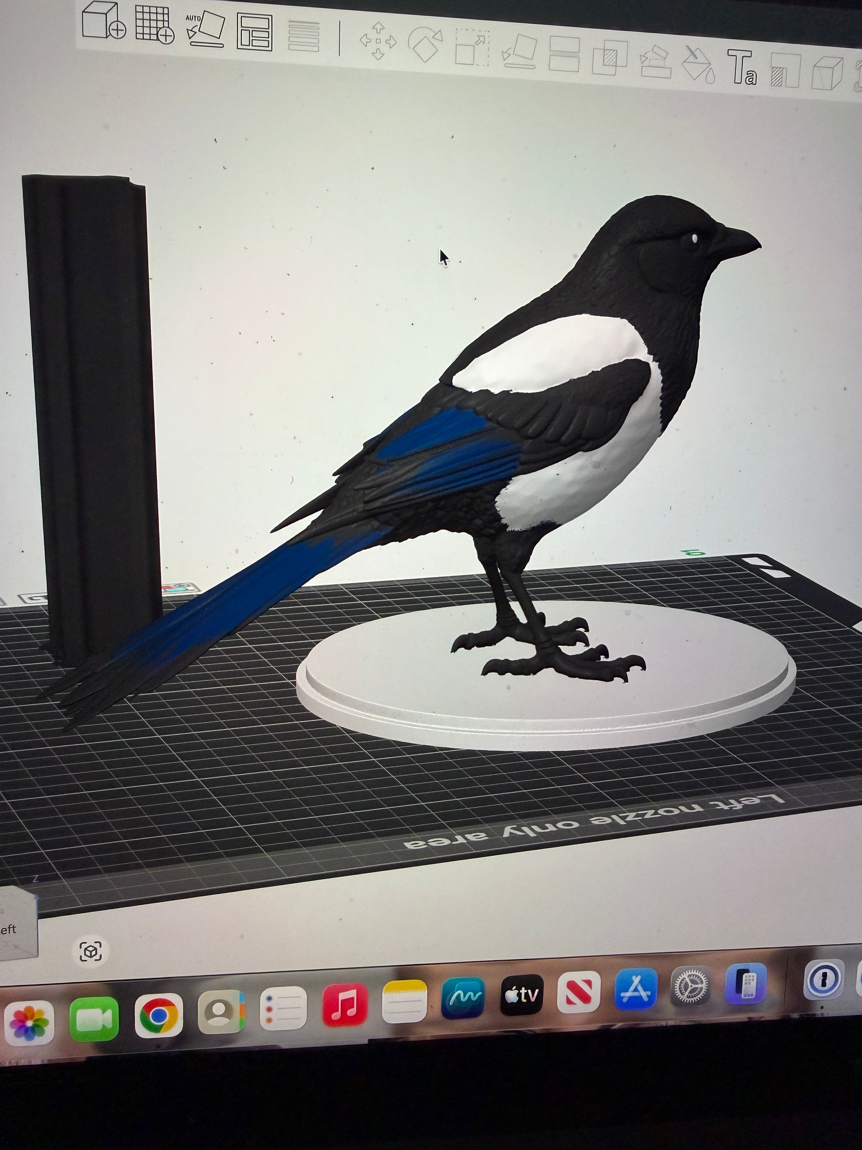 Midnight Mischief Magpie - Commercial License