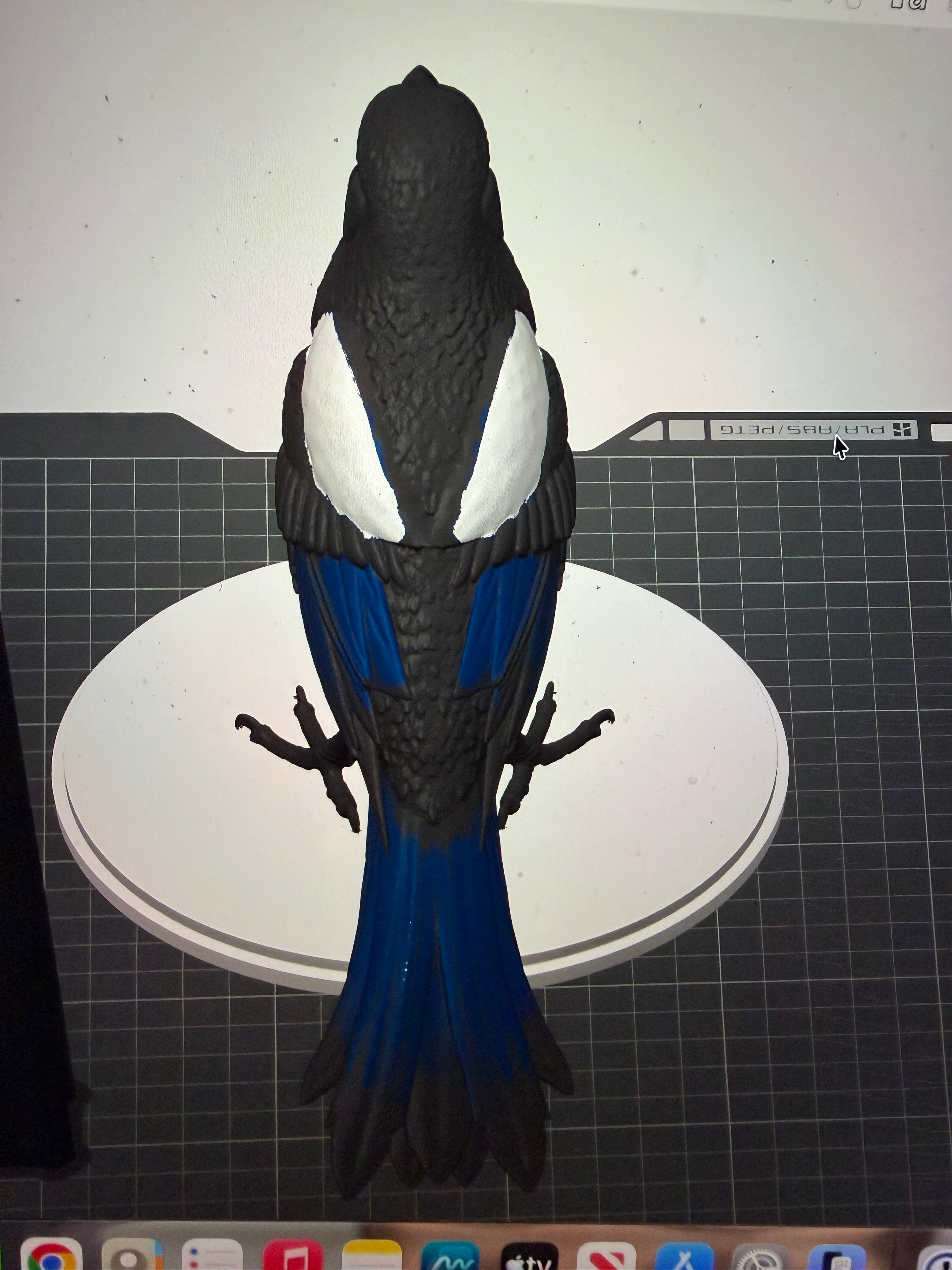Midnight Mischief Magpie - Commercial License