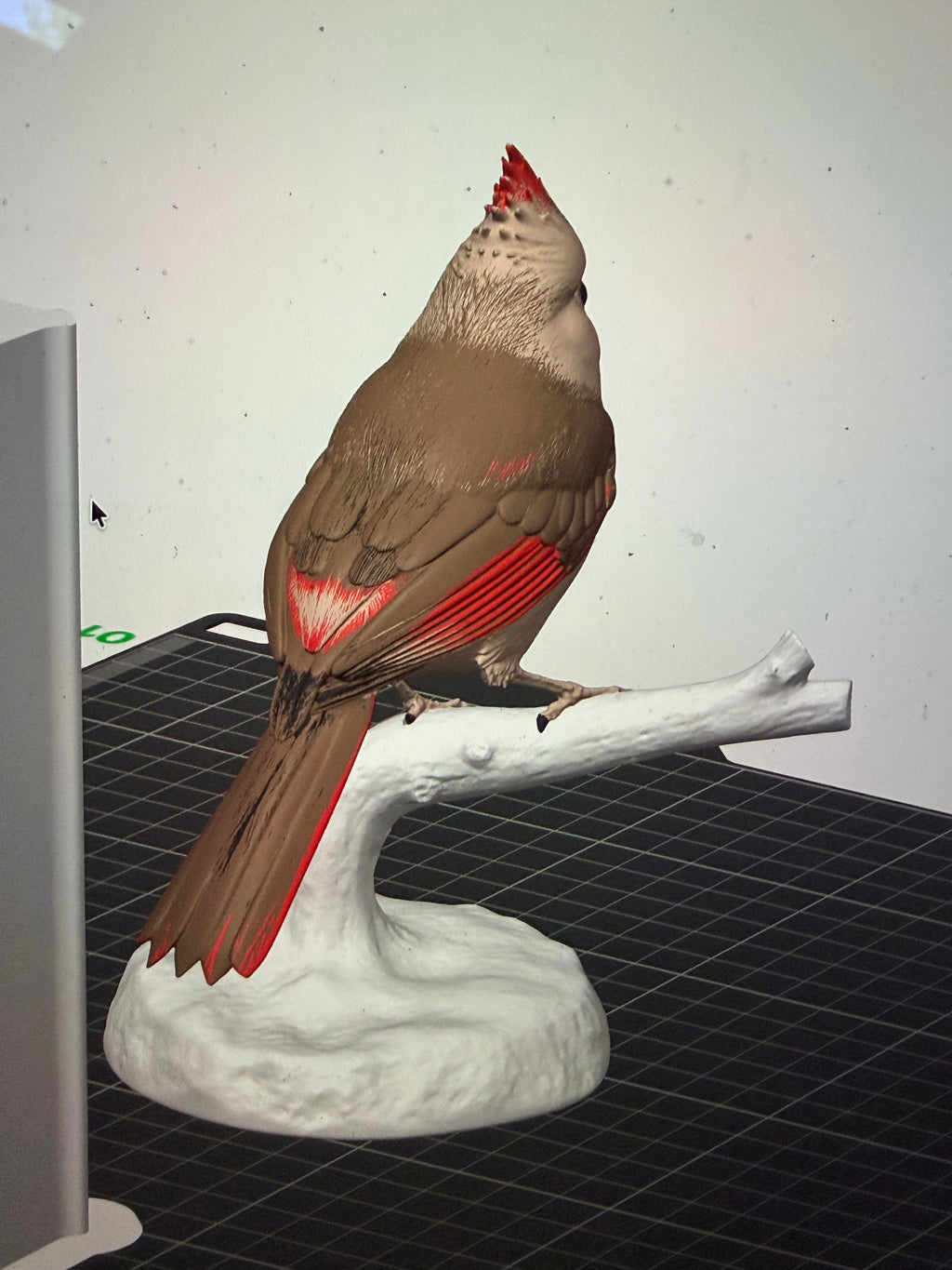 Female Crimson Crest Cardinal - Commercial License
