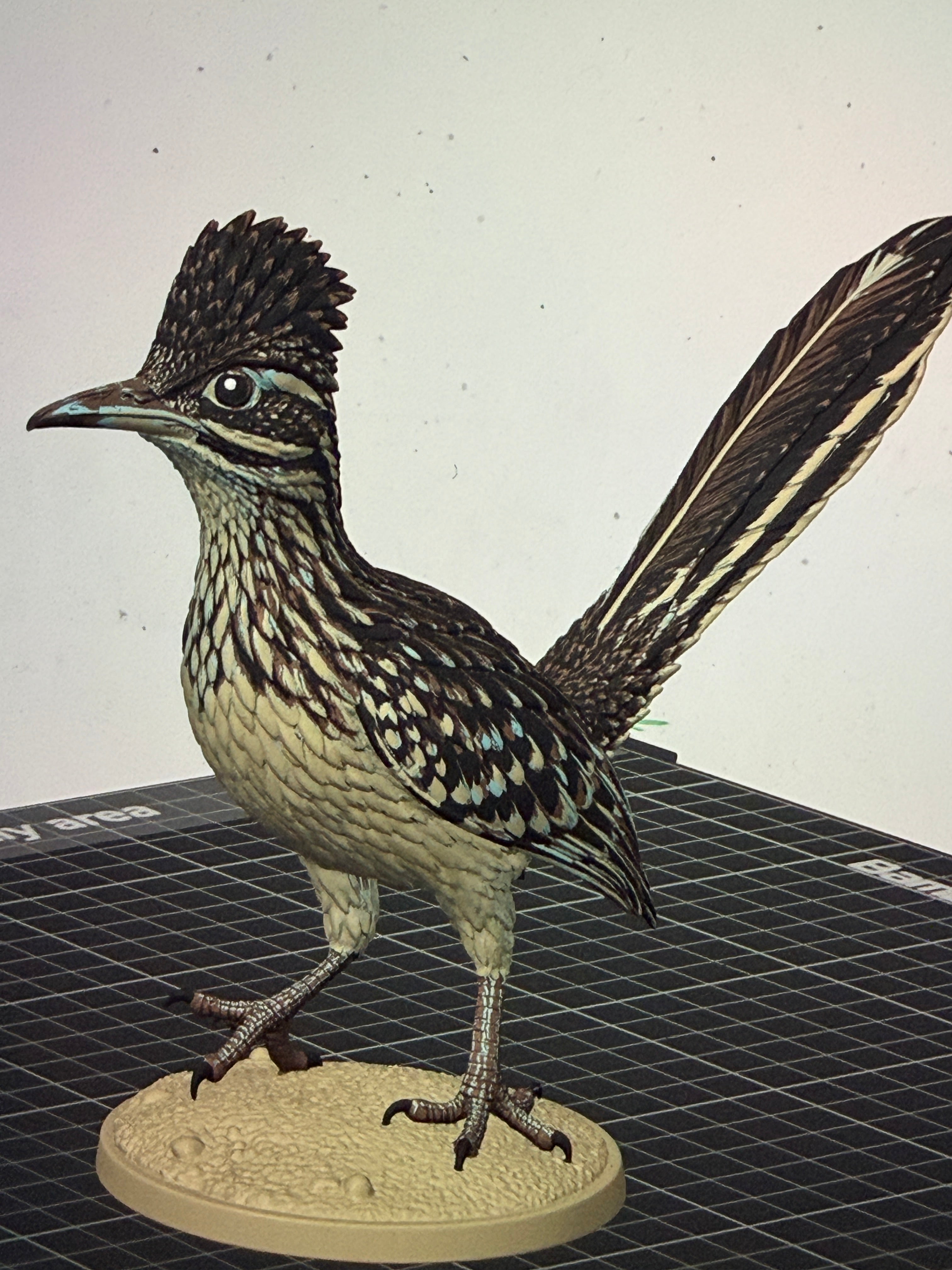 Desert Dash Roadrunner - Commercial License