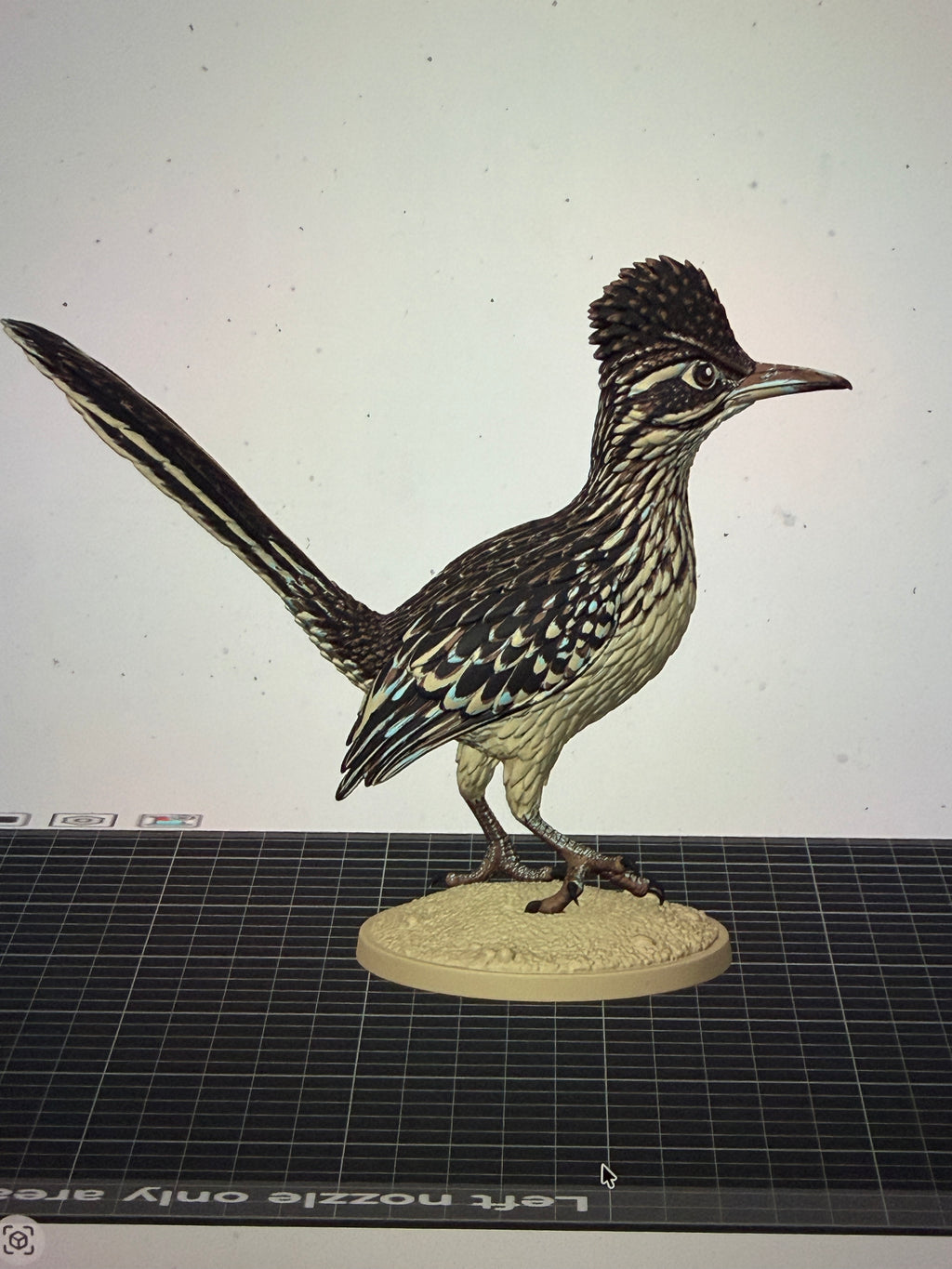Desert Dash Roadrunner - Commercial License