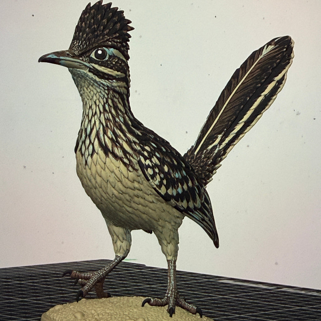 Desert Dash Roadrunner - Commercial License