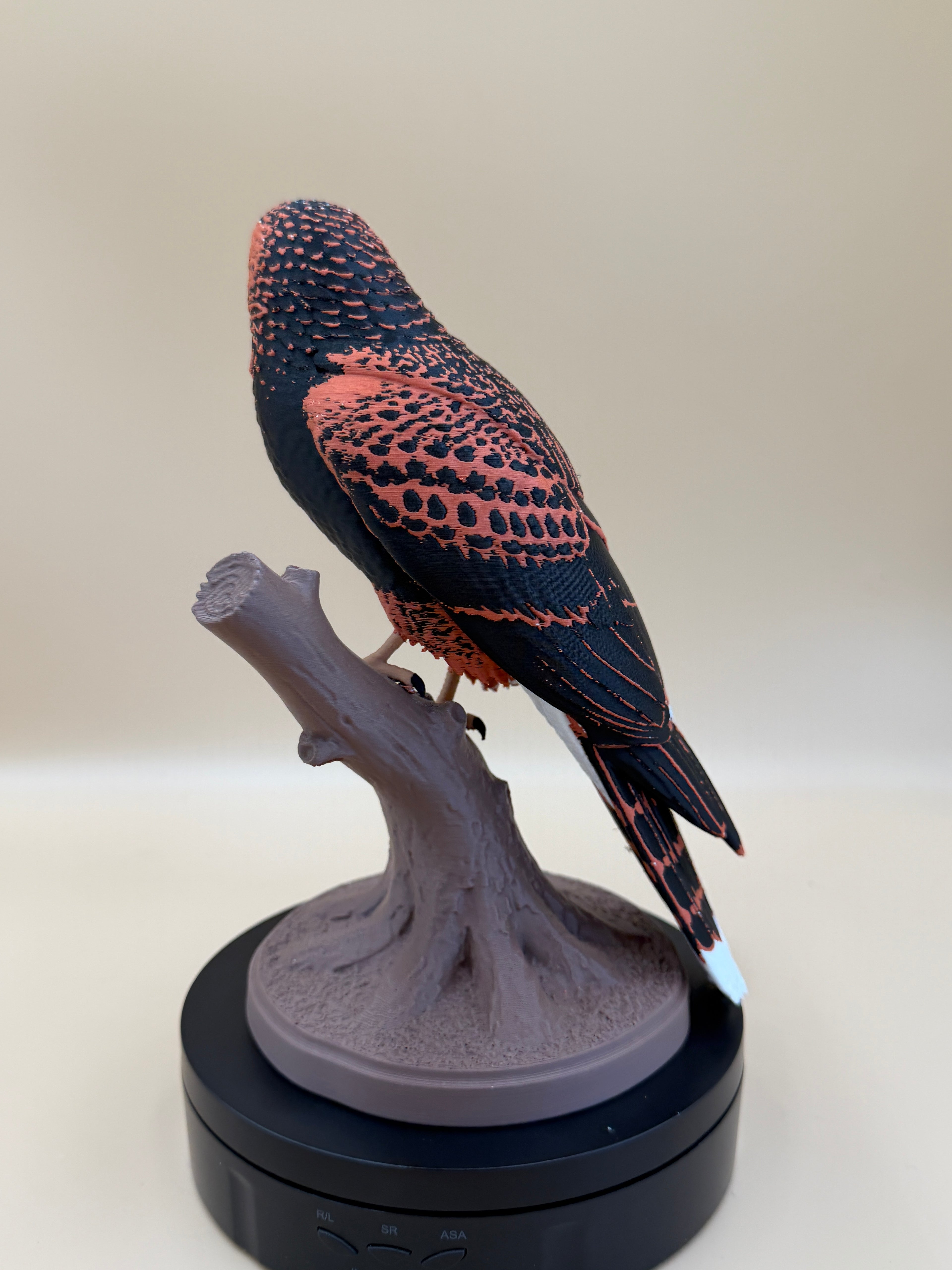 Ember Talon Harris Hawk