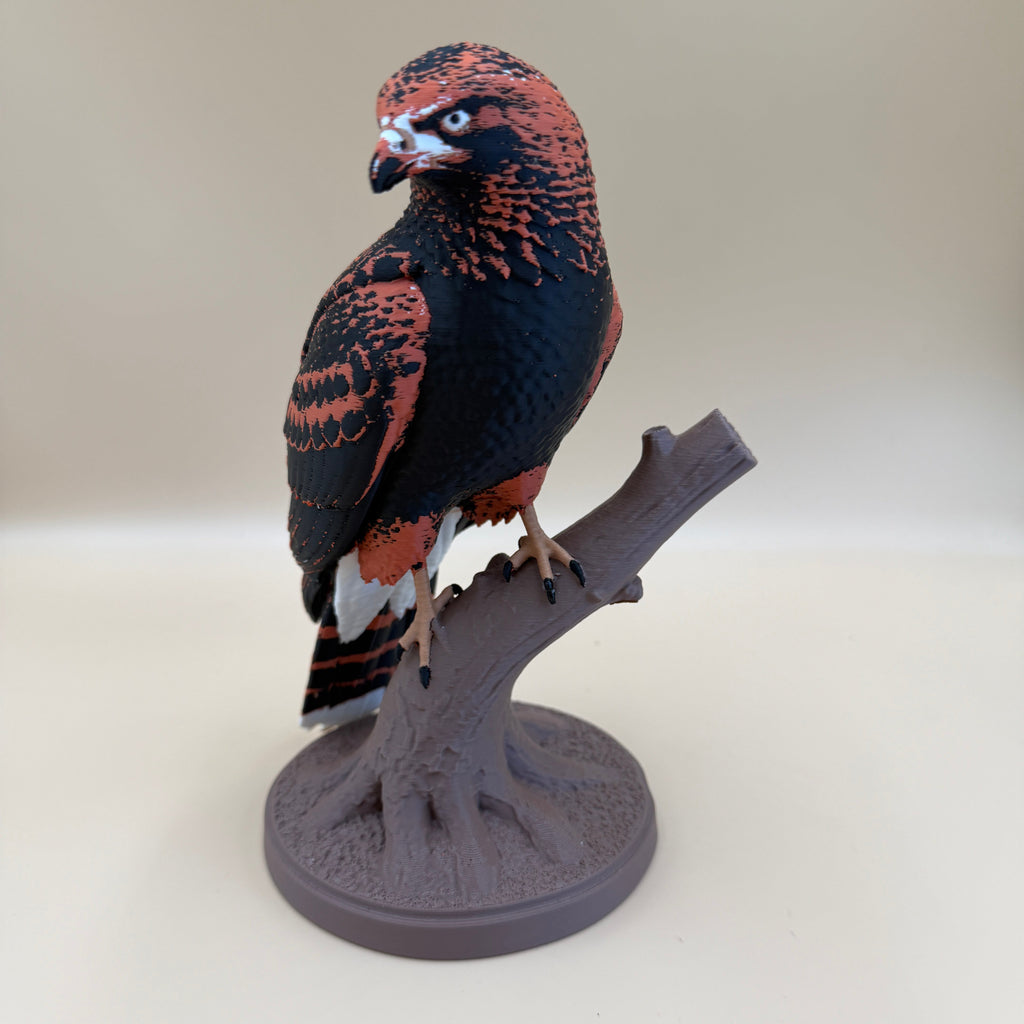 Ember Talon Harris Hawk - Commercial License