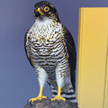 Atmaca Hawk - Commercial License