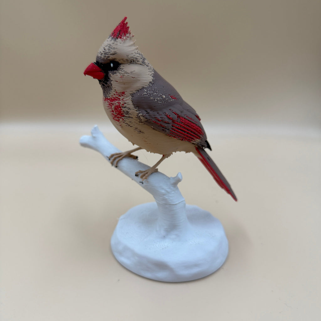 Female Crimson Crest Cardinal