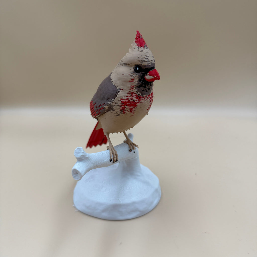 Female Crimson Crest Cardinal - Commercial License